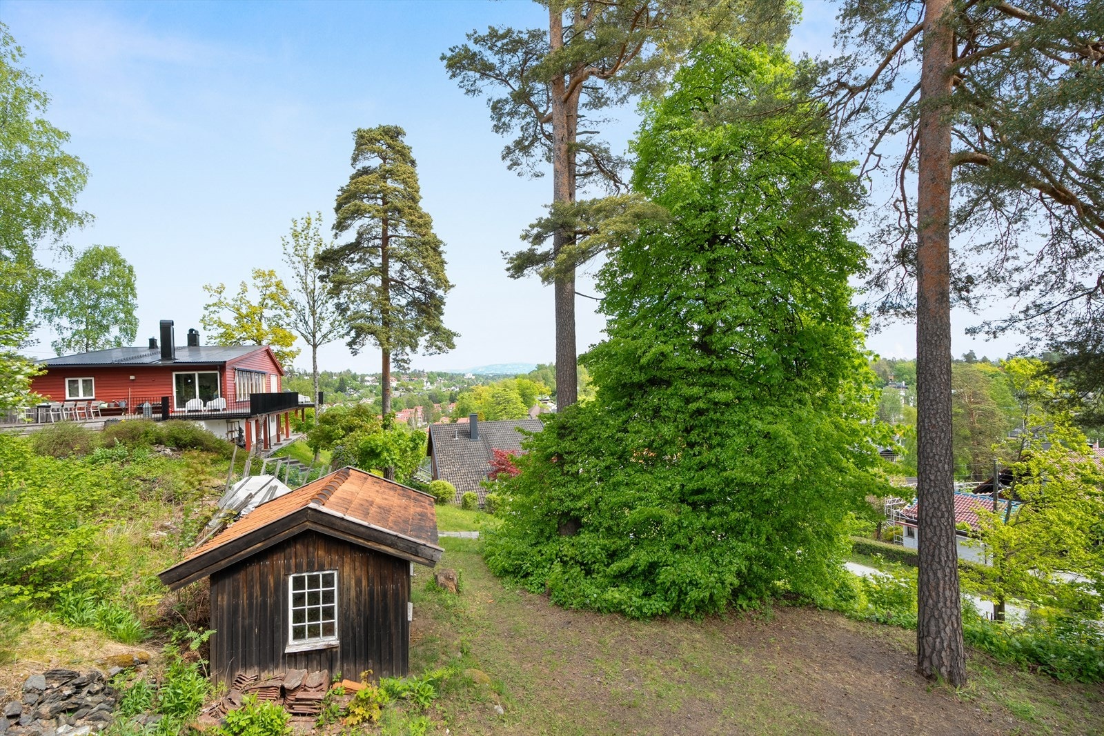 Utsikt mot mot nord Galleribilde
