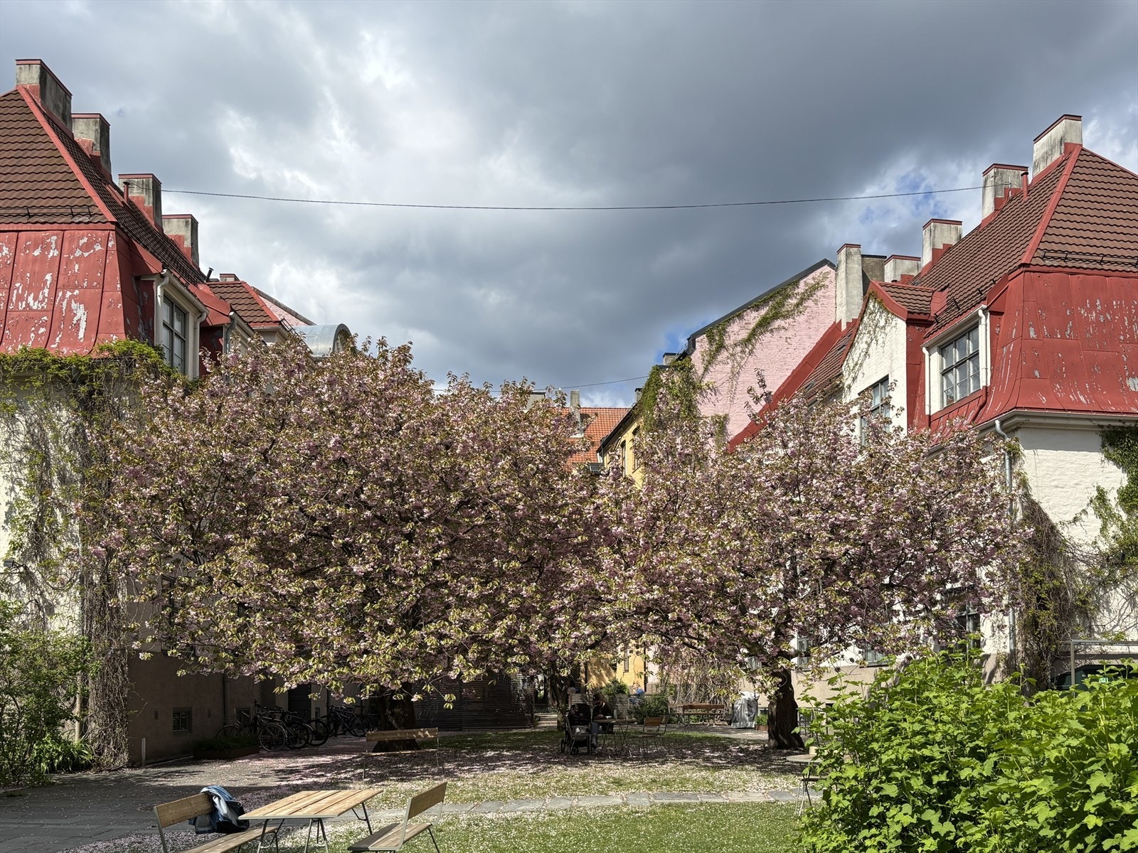 Leiligheten har herlig utsyn mot frodige bakgårder. Galleribilde