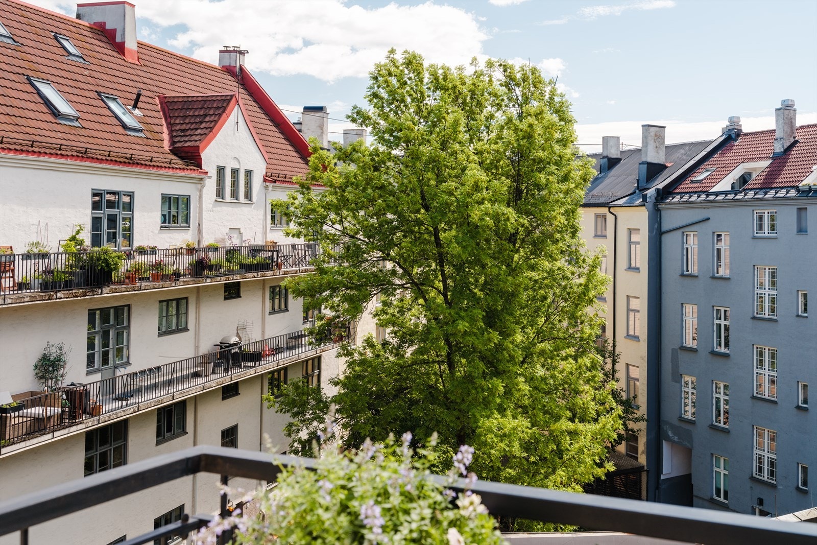 Omringet av fine klassiske bygårder. Galleribilde