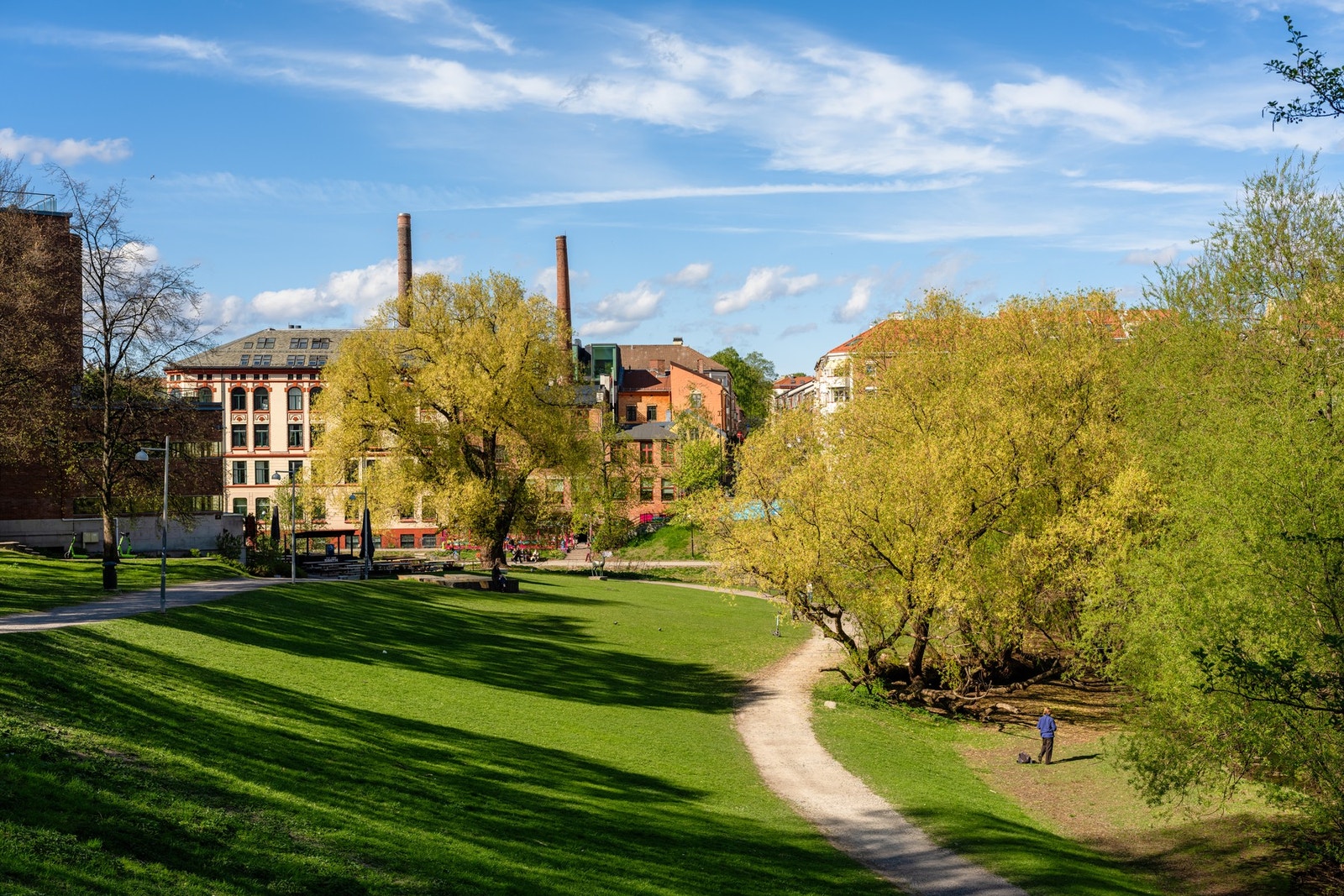 Flott park område Galleribilde