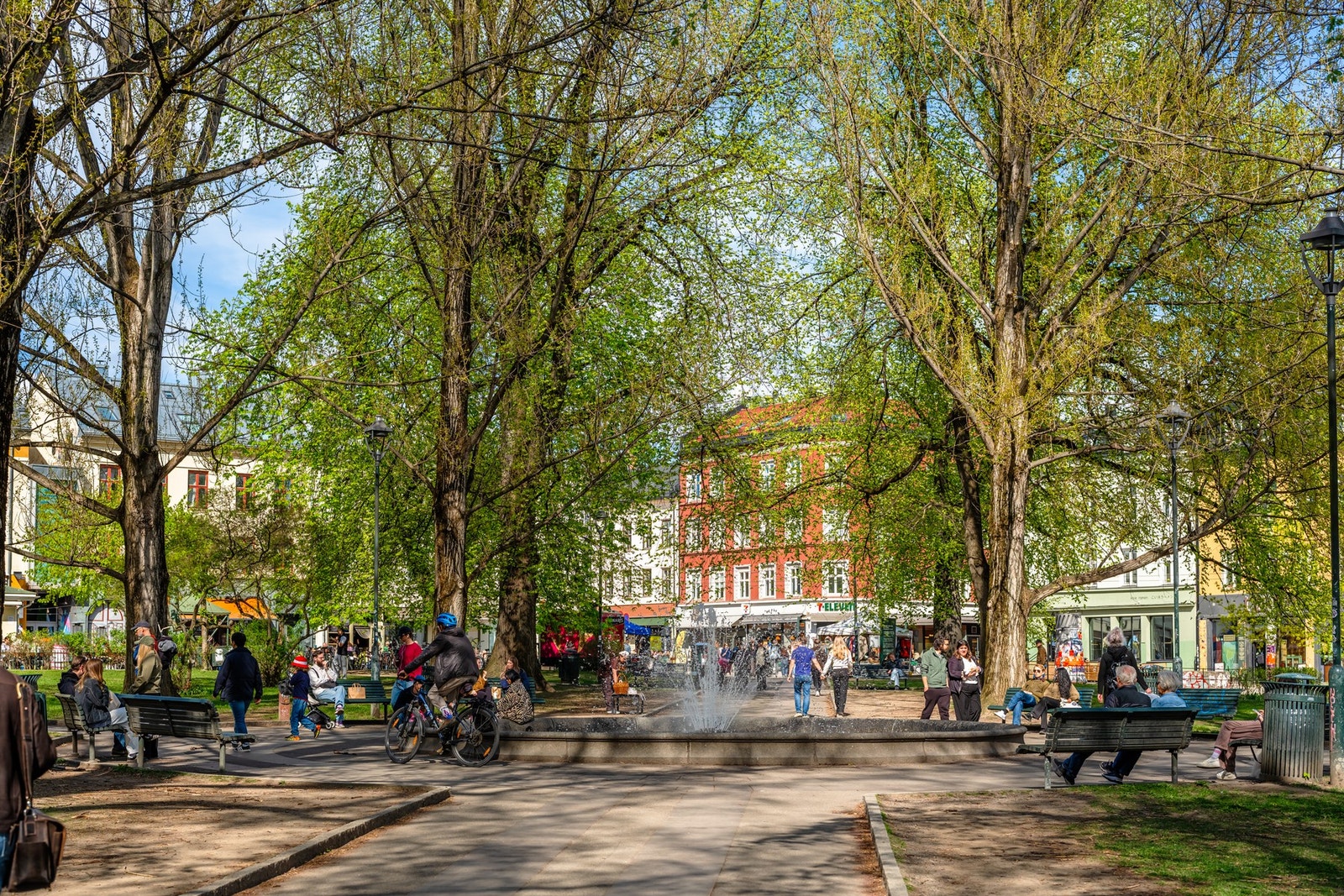 Grønn og livlig park i umiddelbar nærhet Galleribilde