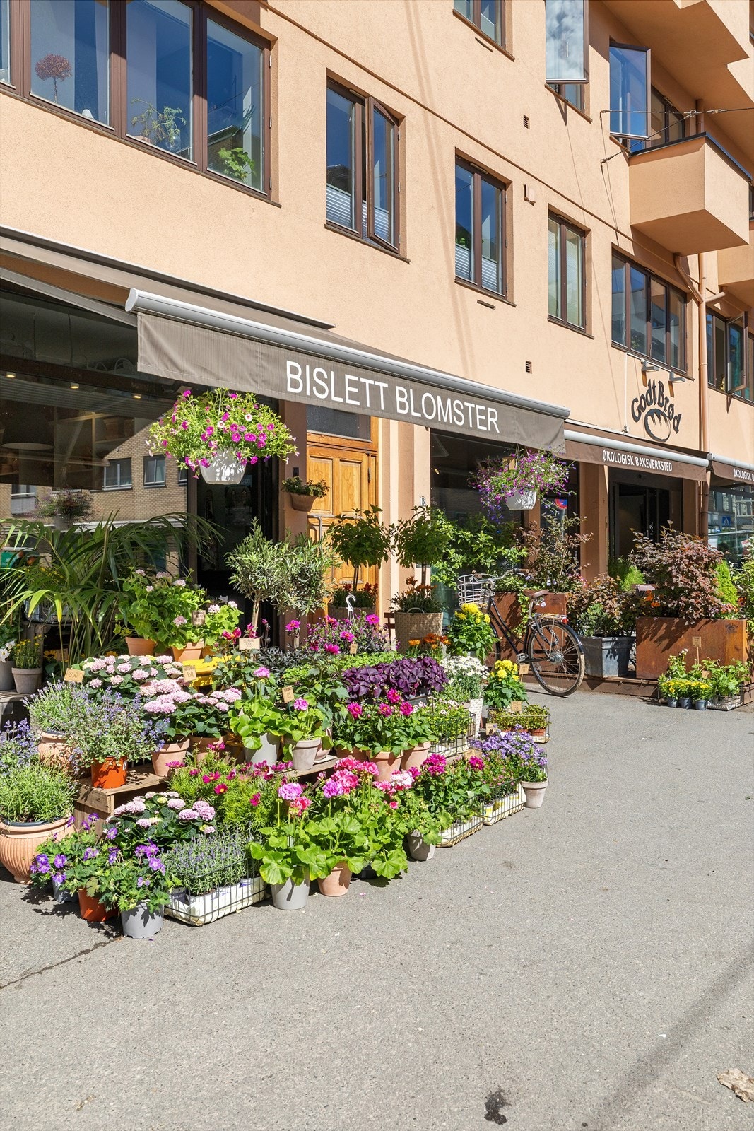 Bislett Blomster Galleribilde