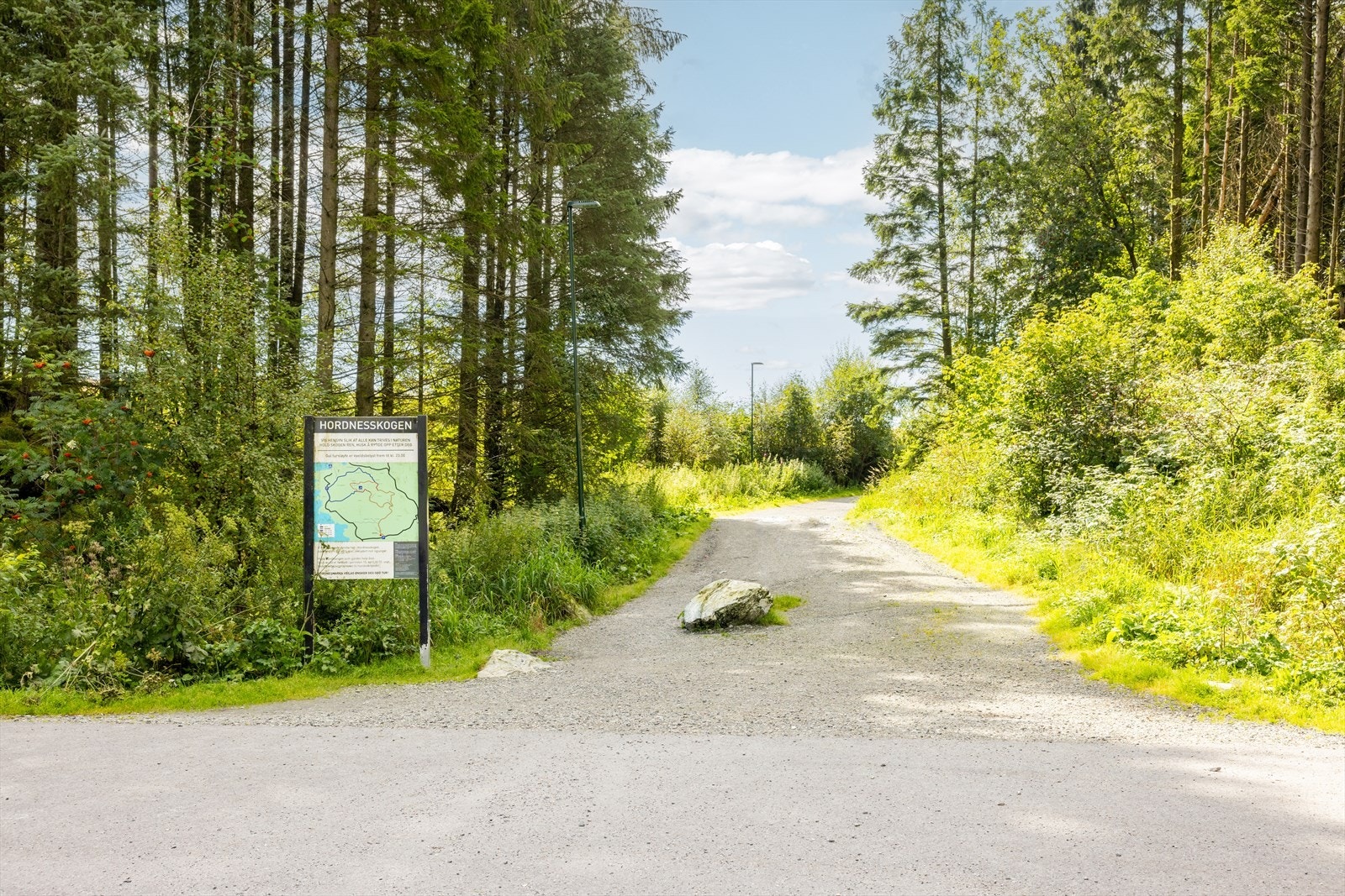 Hordnesskogen, med sine flotte turstier, er bare noen minutter unna. Galleribilde