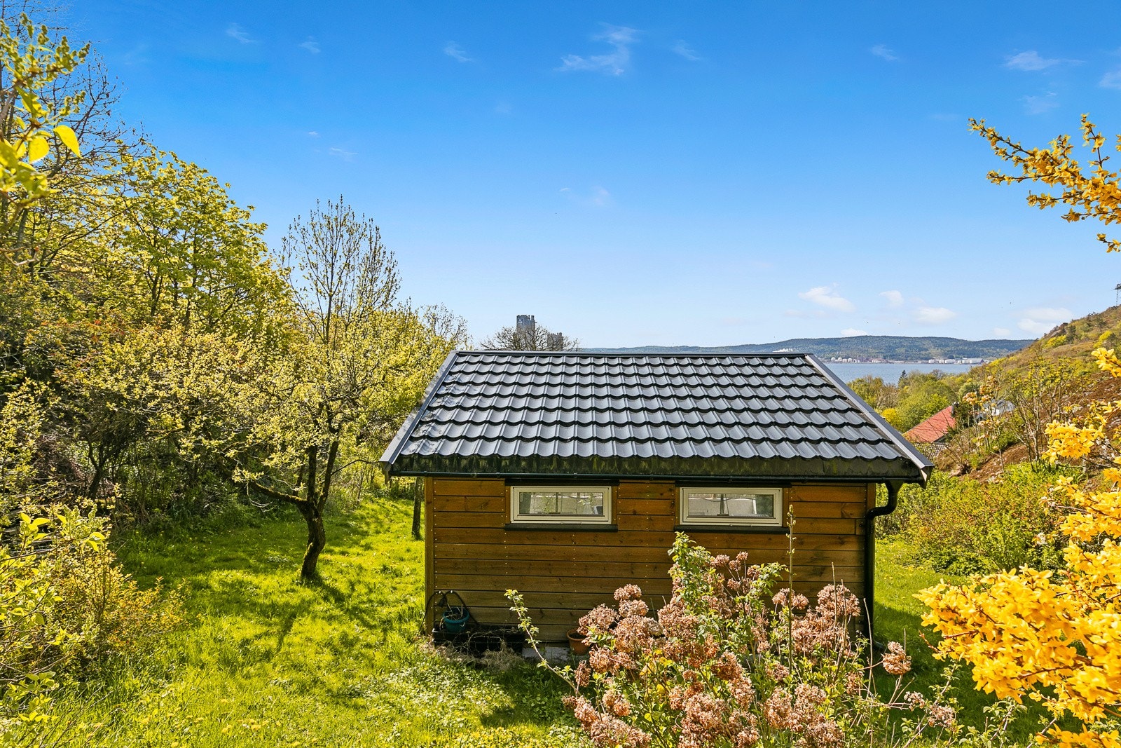 Drivhus i hagen. Galleribilde