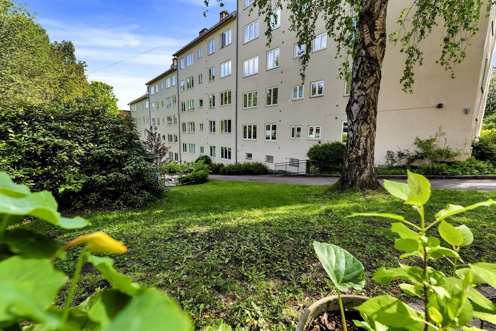 Det er hyggelig naboskap i Akersbakken borettslag. Galleribilde