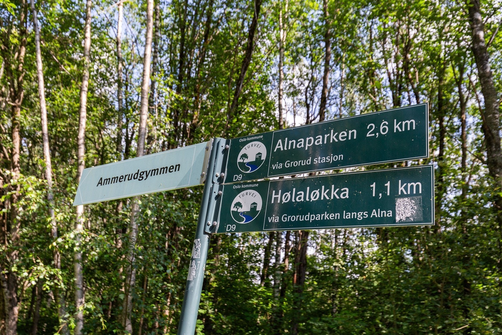 Området er kjent for sine flotte turløyper og lysløyper, både på sommer- og vinterstid. Lillomarka byr på fantastiske rekreasjonsmuligheter året rundt med lysløyper, turstier og badevann. Galleribilde