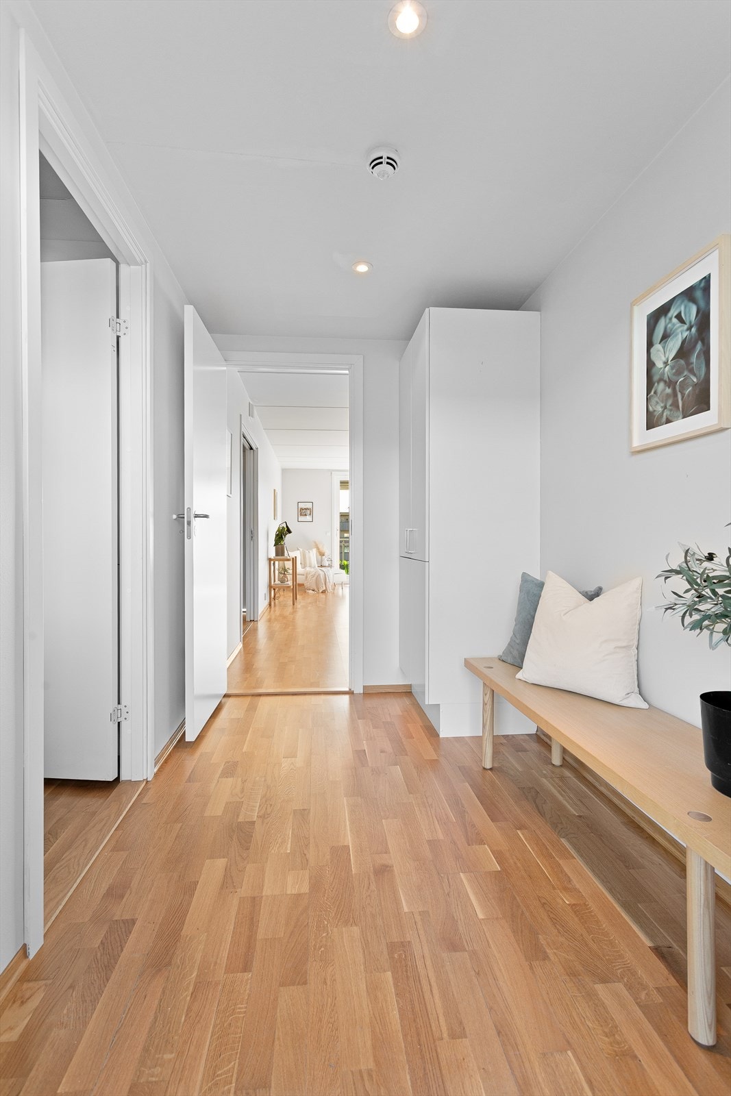 Entre med garderobeskap og god plass for ytterligere oppbevaring. Galleribilde