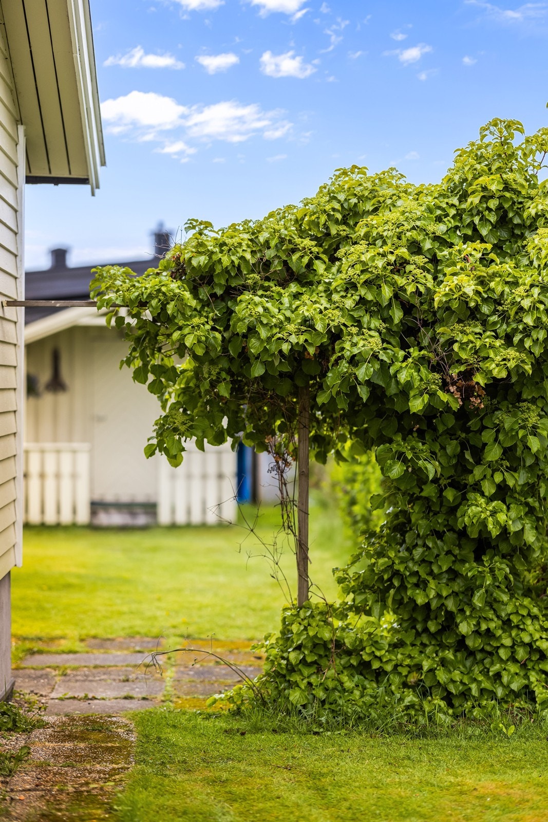Tomten er opparbeidet med hekkbeplantning og gjerde som rammer inn eiendommen. Galleribilde