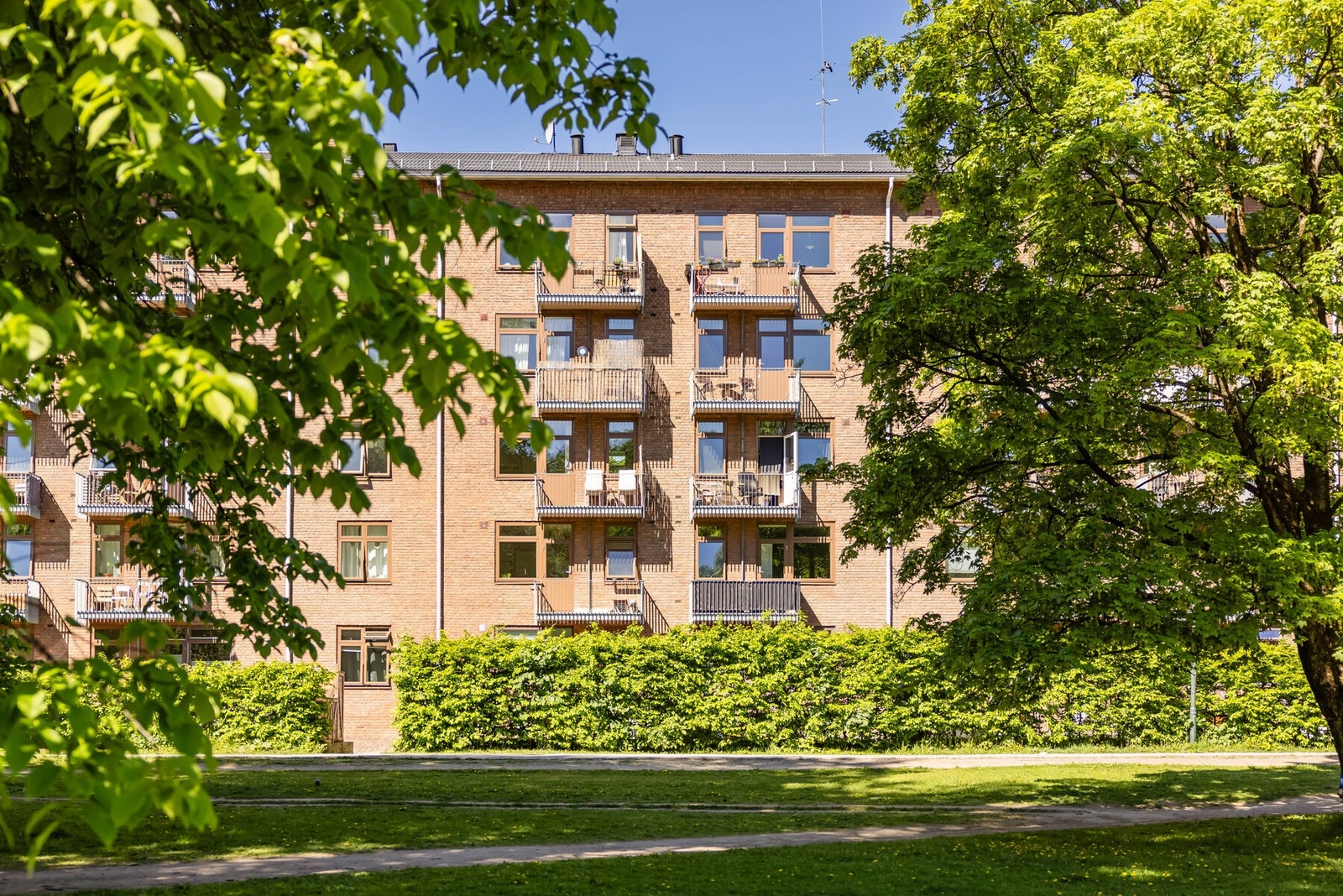 Velkommen til visning! Galleribilde