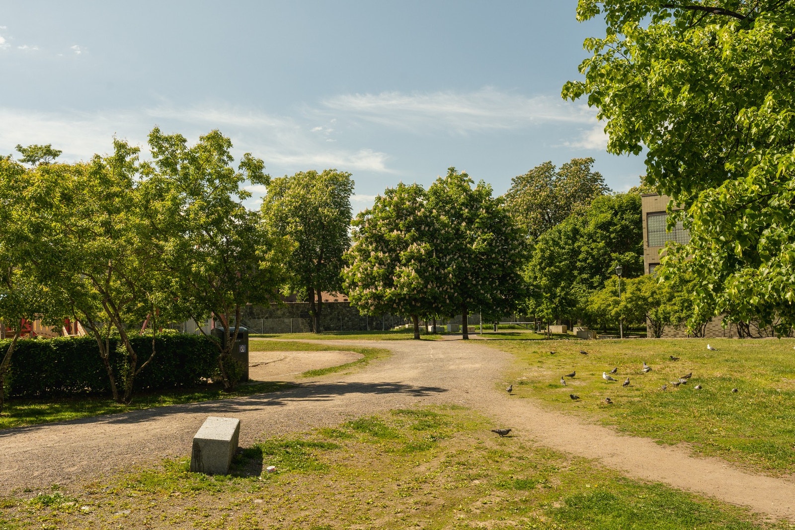Nærområdet byr på flere grønne lunger, med kort vei til blant annet Botanisk hage og Tøyenparken. Galleribilde