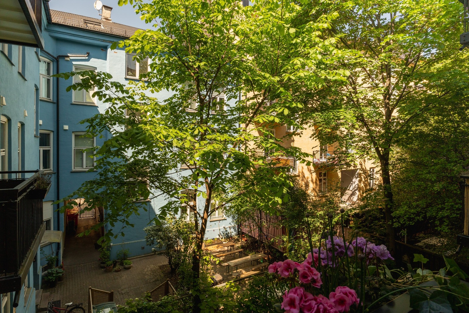 Utsikt over den frodige og skjermede bakgården, som stelles av borettslagets egen hagegruppe. Galleribilde