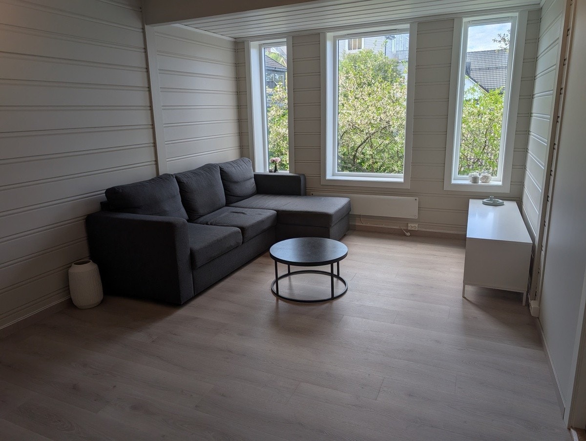 Stue Galleribilde