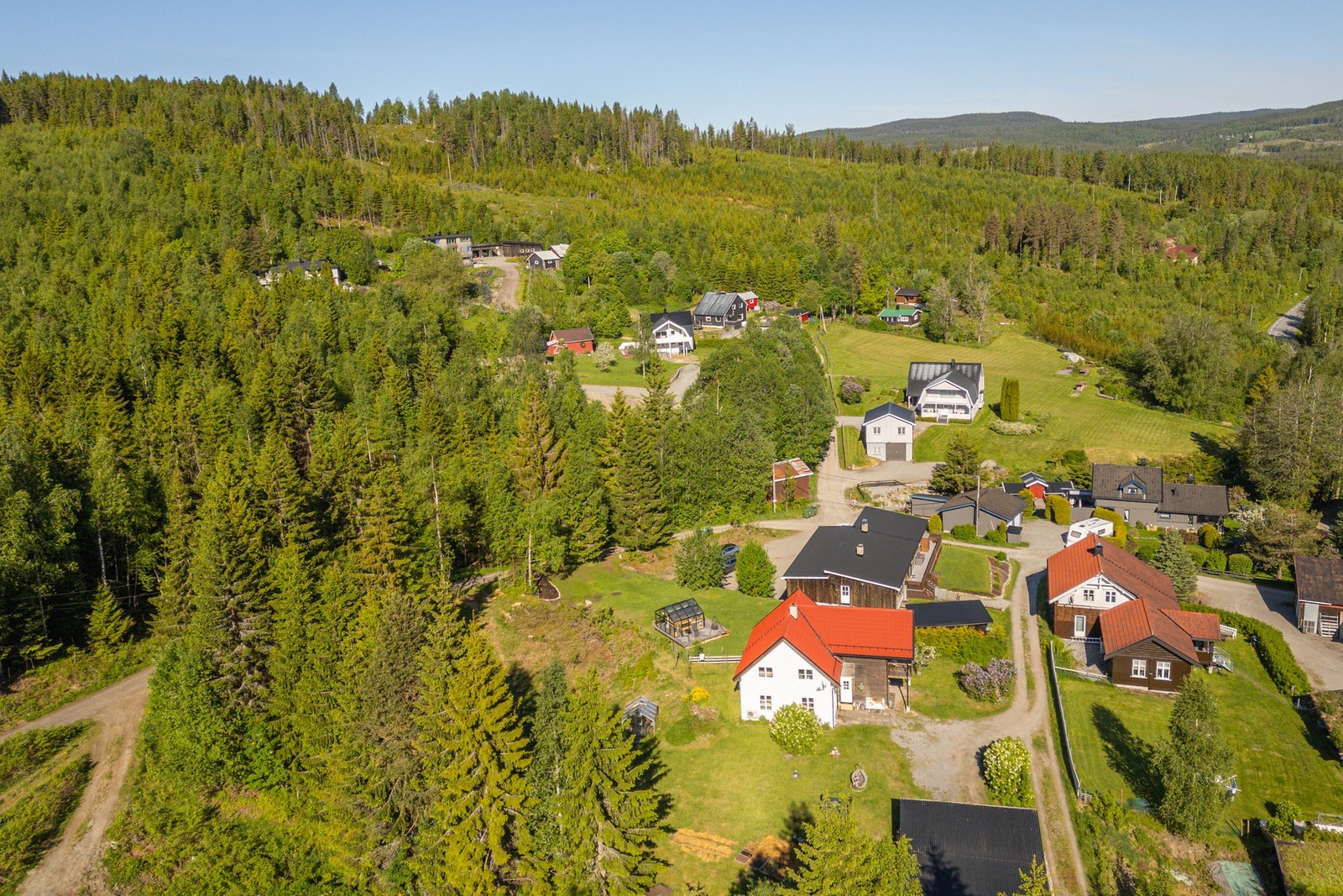 På eiendommen har du en egen vedskog på ca. 50-60 trær. Galleribilde