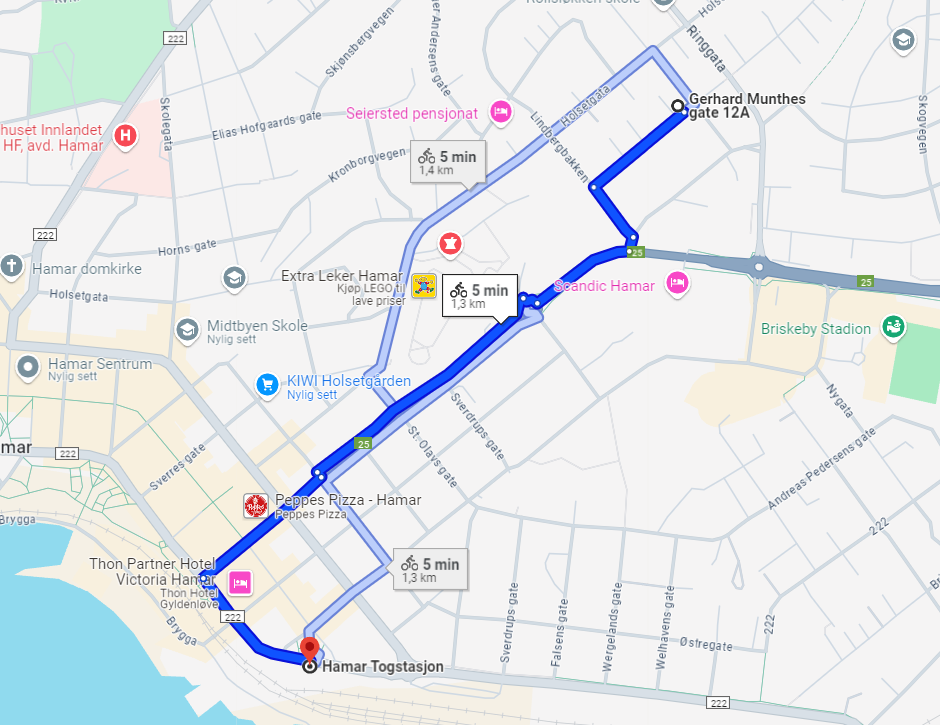 Avstand til Hamar togstasjon Galleribilde