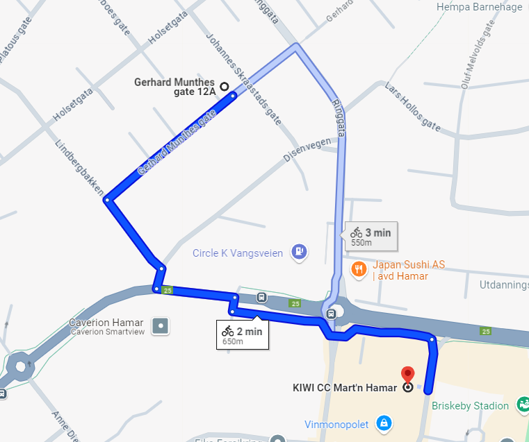 Avstand til Kiwi Galleribilde