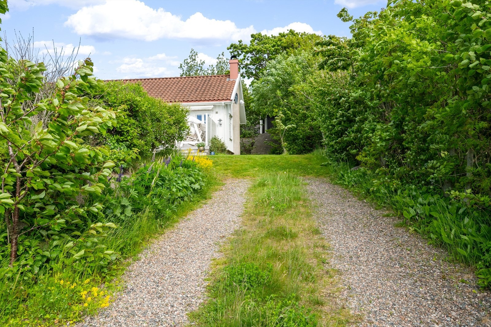 Adkomst til eiendommen. Galleribilde