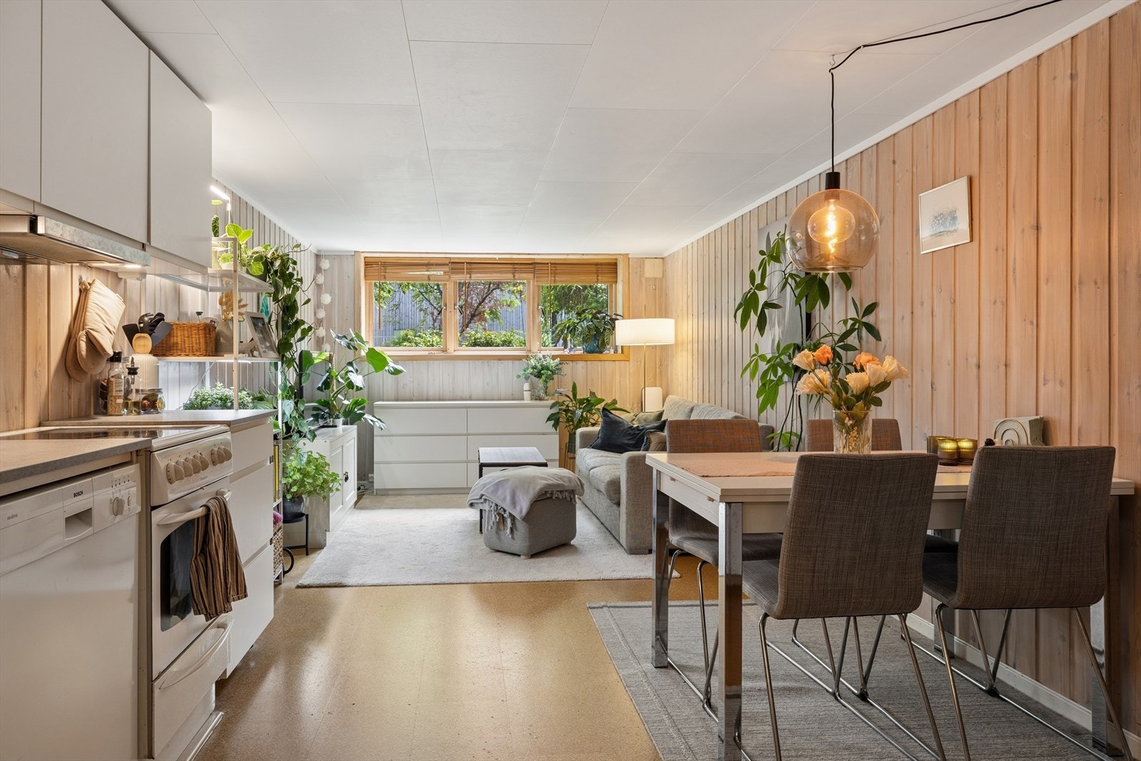 Hybelleiligheten har gode vindusflater og gir rikelig med naturlig dagslys Galleribilde