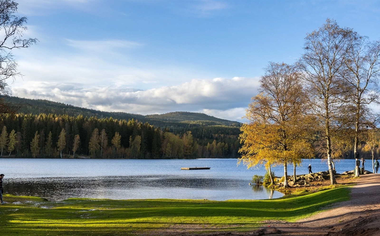 Sognsvann like pent sommer som vinter. Galleribilde