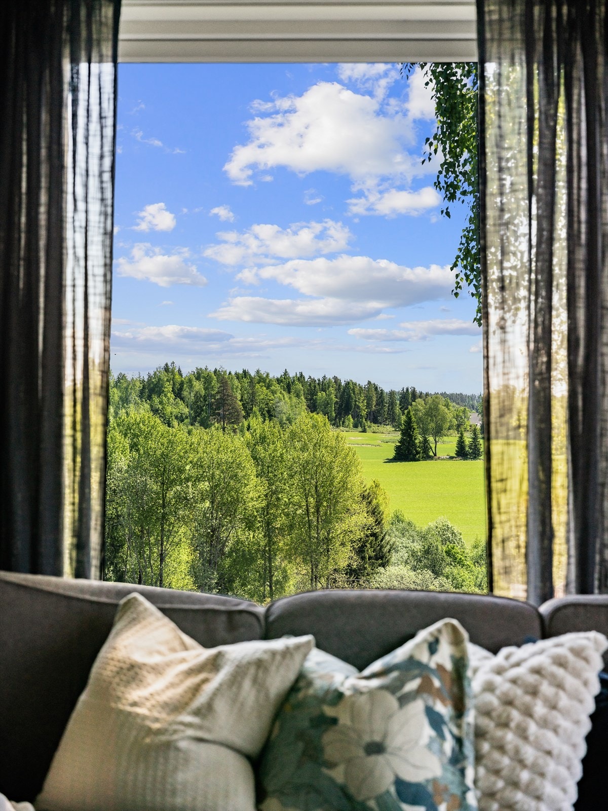 Store vinduer gir utsikt mot skog og mark. Galleribilde