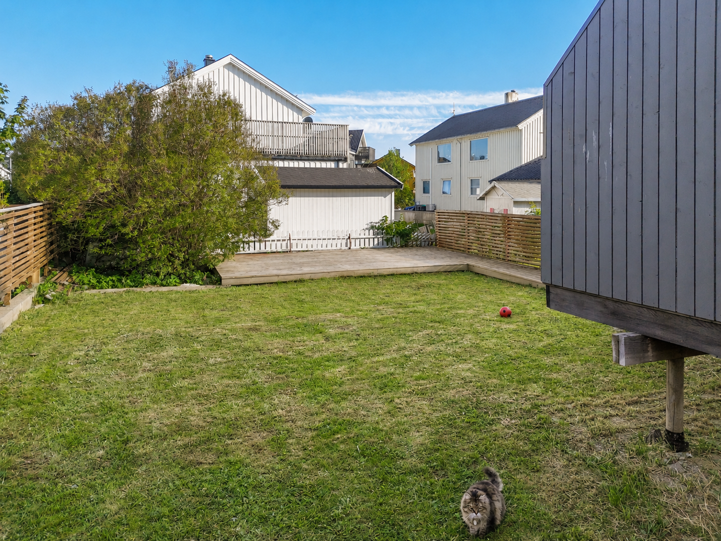 Hagen er opparbeidet med plen og har god plass for både to og firbeinte Galleribilde