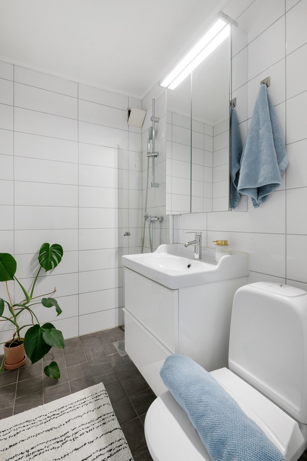 Enkelte i oppgangen setter vaskemaskin til venstre ved plante i bildet. Ikke opplegg pt. Galleribilde