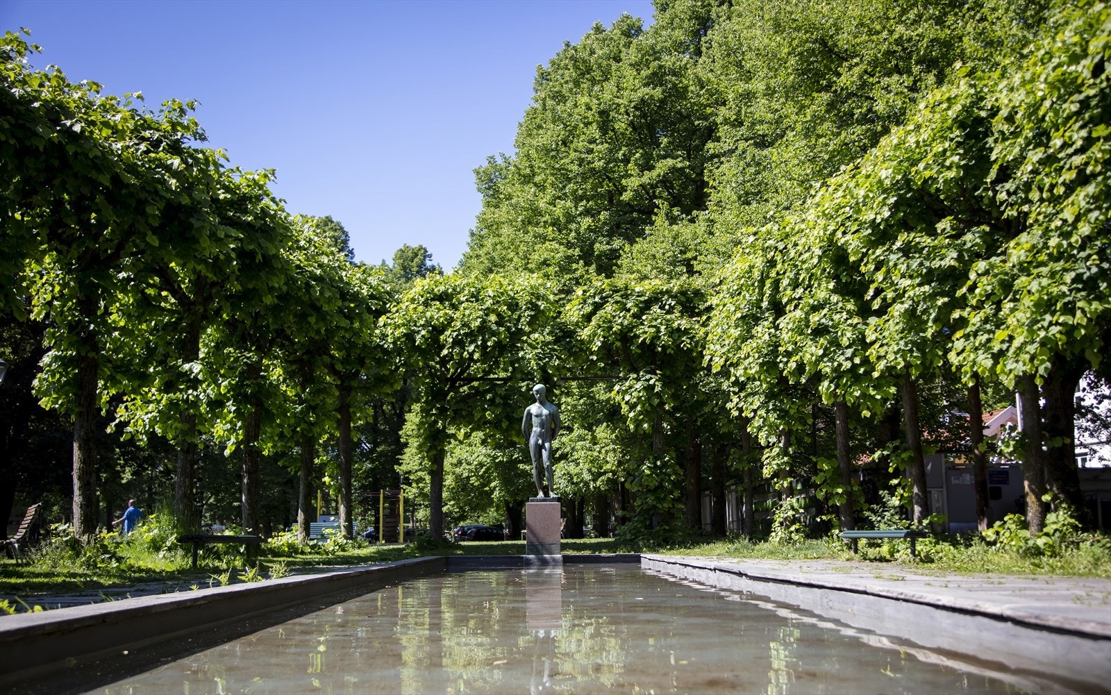 Områdebilde. Galleribilde