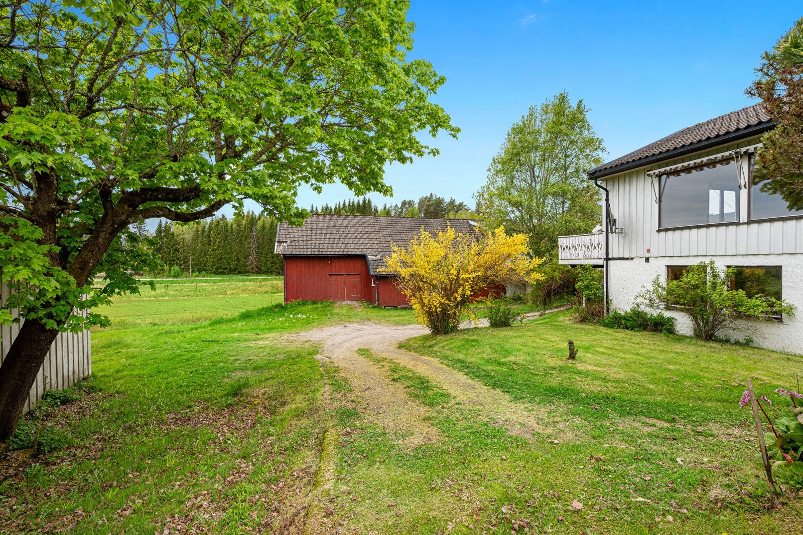 Fra tunet Galleribilde