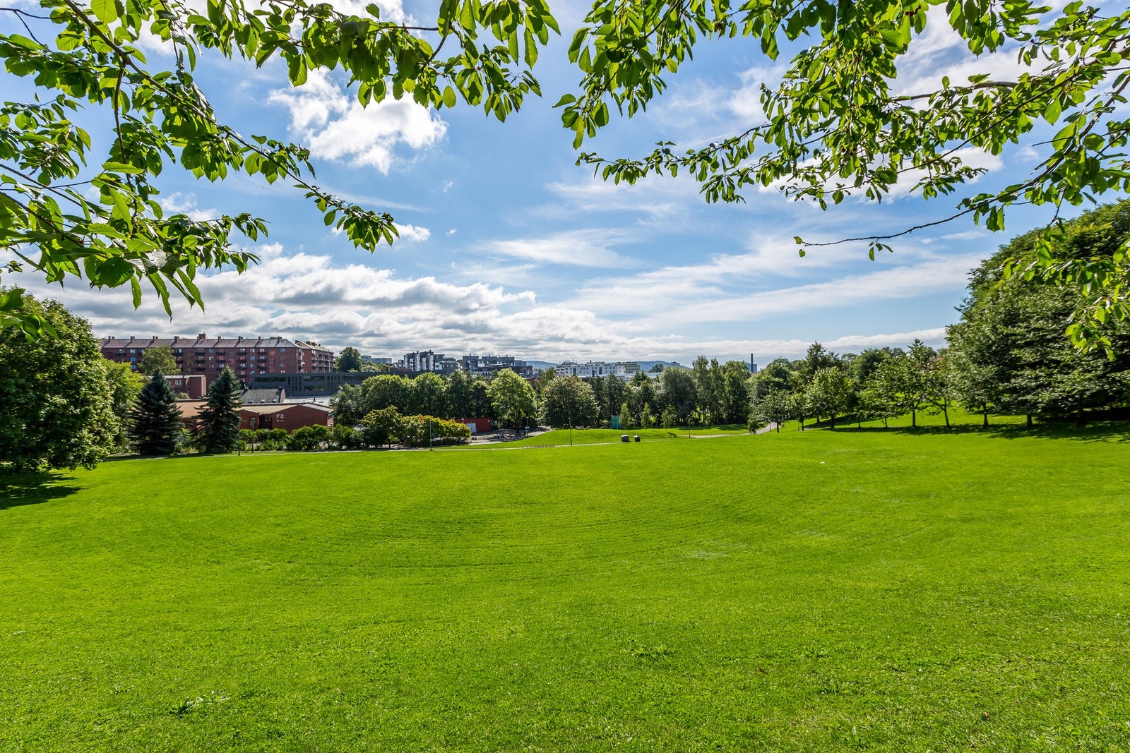 Bydelen kan by på flere fantastiske grøntområder som Akerselva Miljøpark, Myraløkka, Gråbeinsletta, Torshovparken, Bjølsenparken, Vøyenvolden gård, Iladalen og Voldsløkka Galleribilde