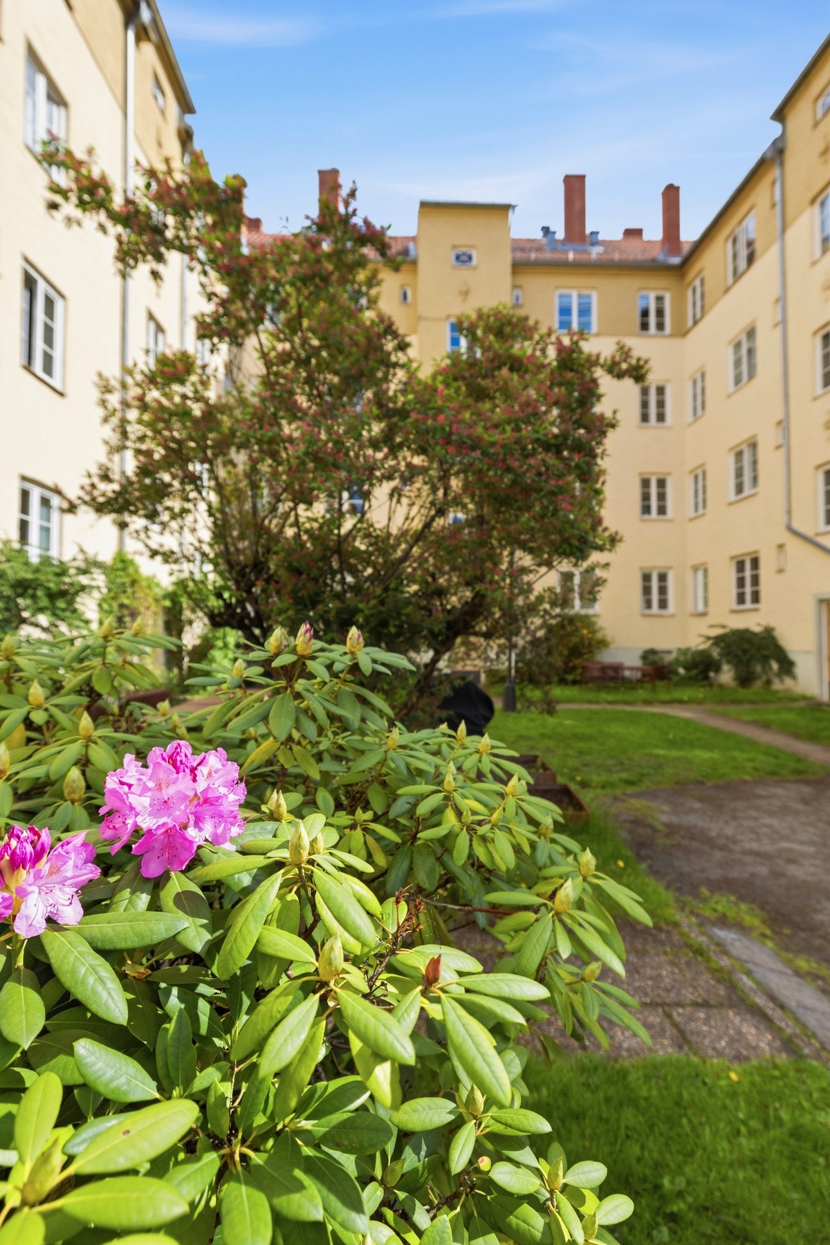 Pent opparbeidet bakgård med mye sollys. Galleribilde