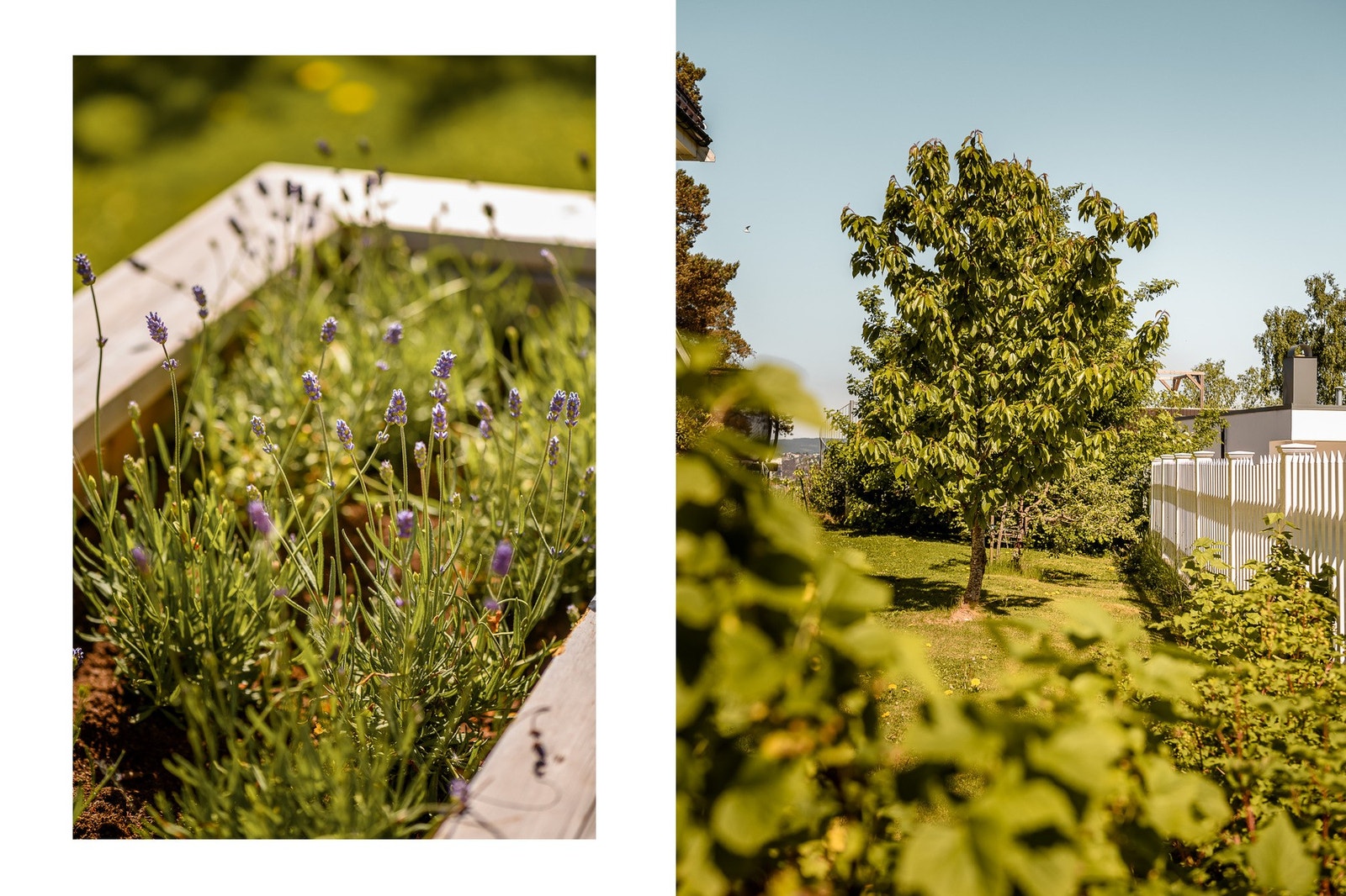 Hagen oppleves som en liten oase med frodig beplantning, frukttrær og bærbusker. Her finner du blant annet mandeltre, aprikostre, plommetrær, eple, druer og bær - noe som gir hagen både særpreg og en nesten sydlandsk stemning i sommerhalvåret. Galleribilde