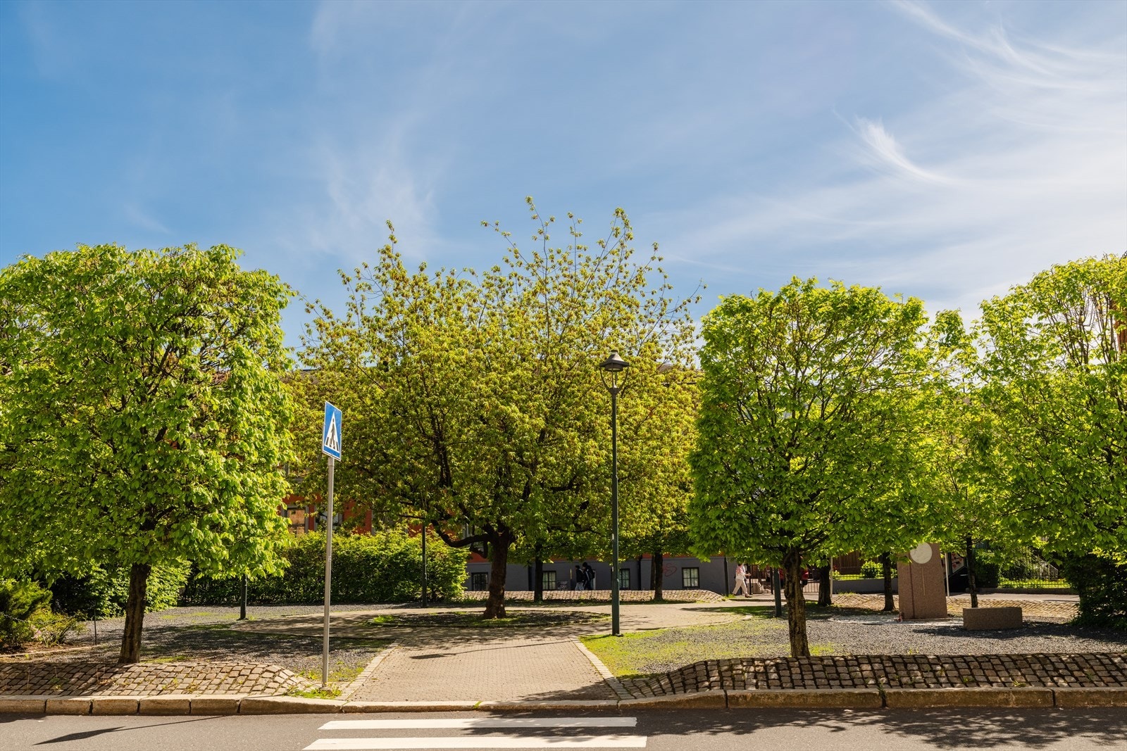 Nærområdet. Galleribilde