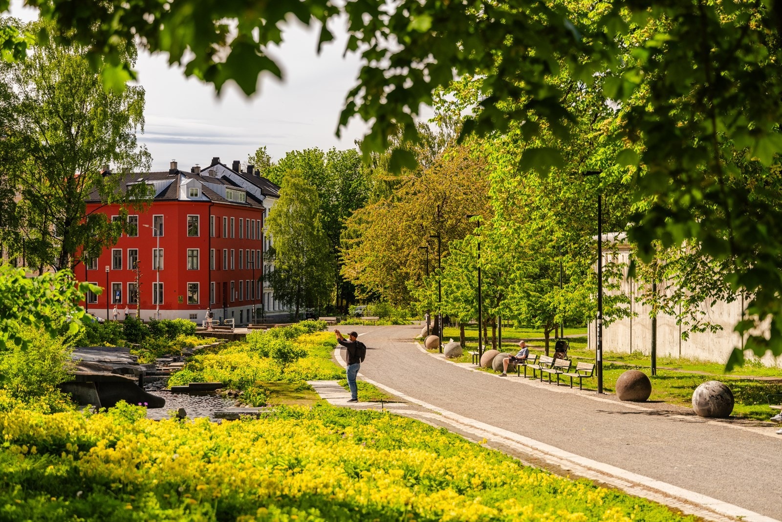 Nærområdet. Galleribilde