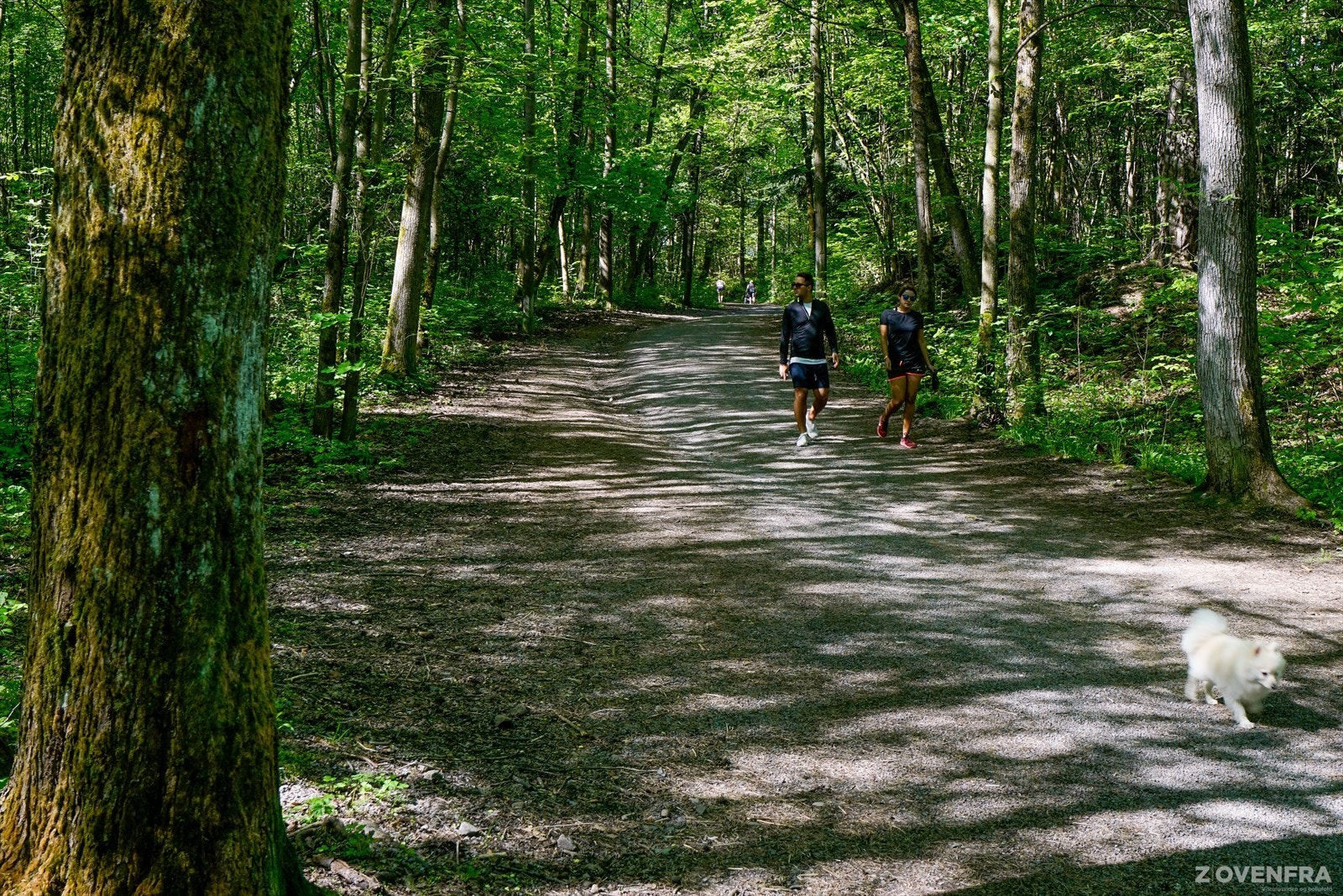 Store friområder med sletter, skog og badestrender. Galleribilde