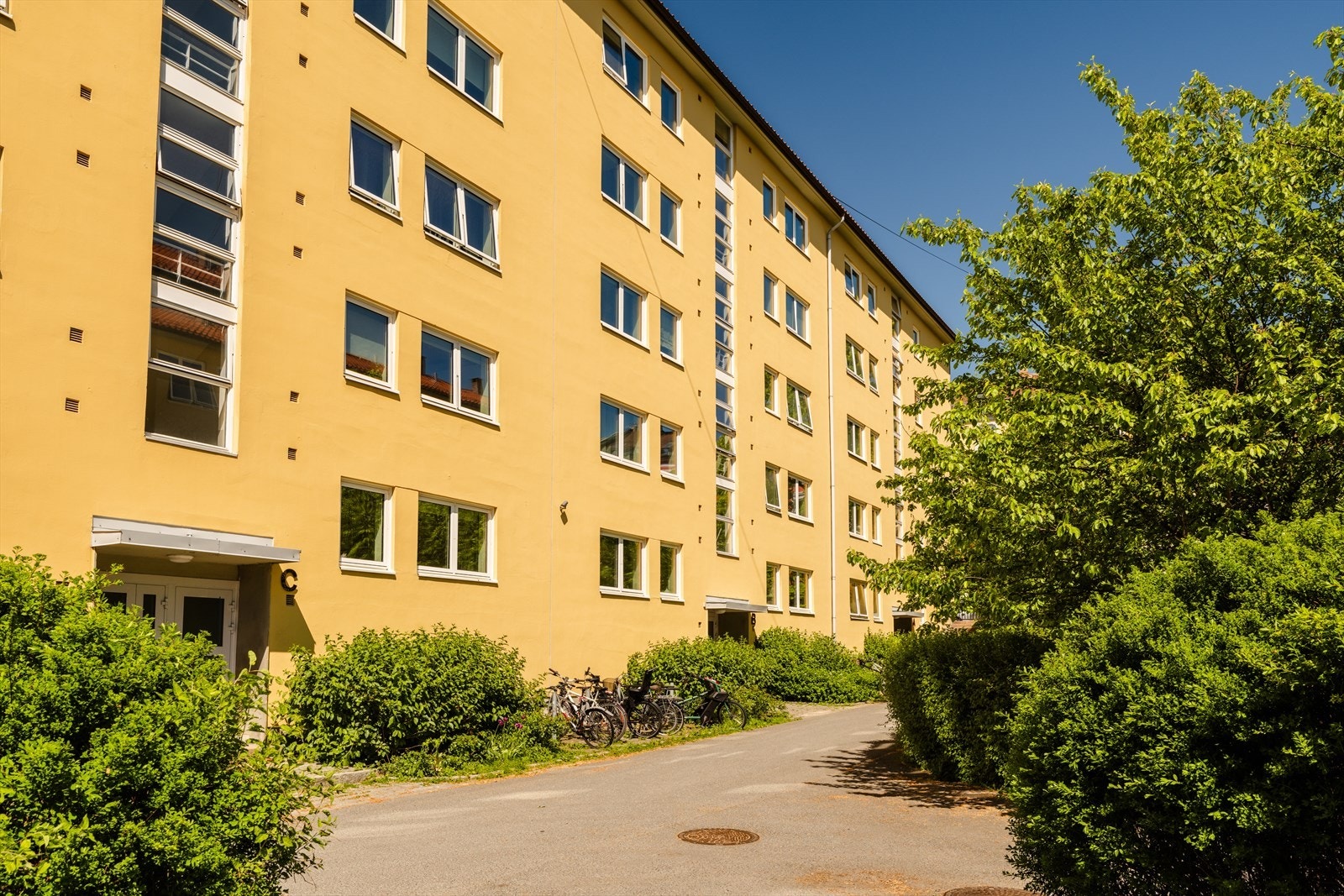 Aksjelaget er veldrevet og har en flott bakgård Galleribilde