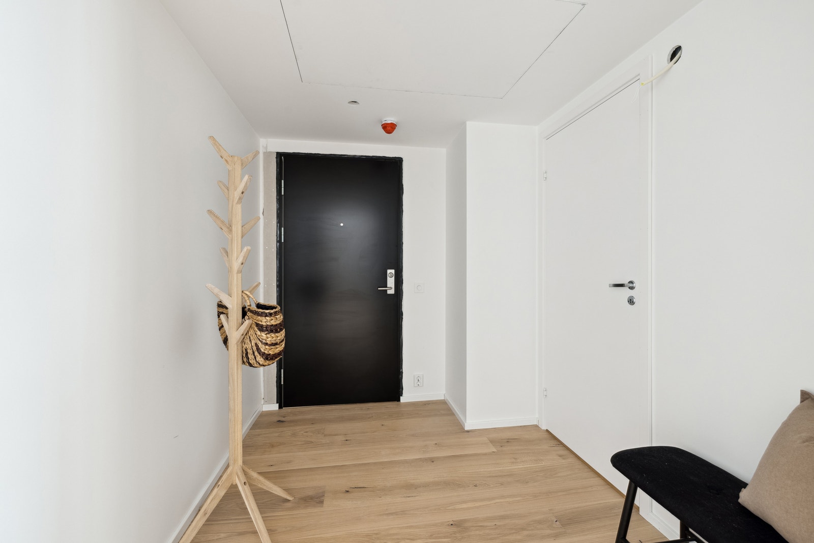 Hall. Galleribilde