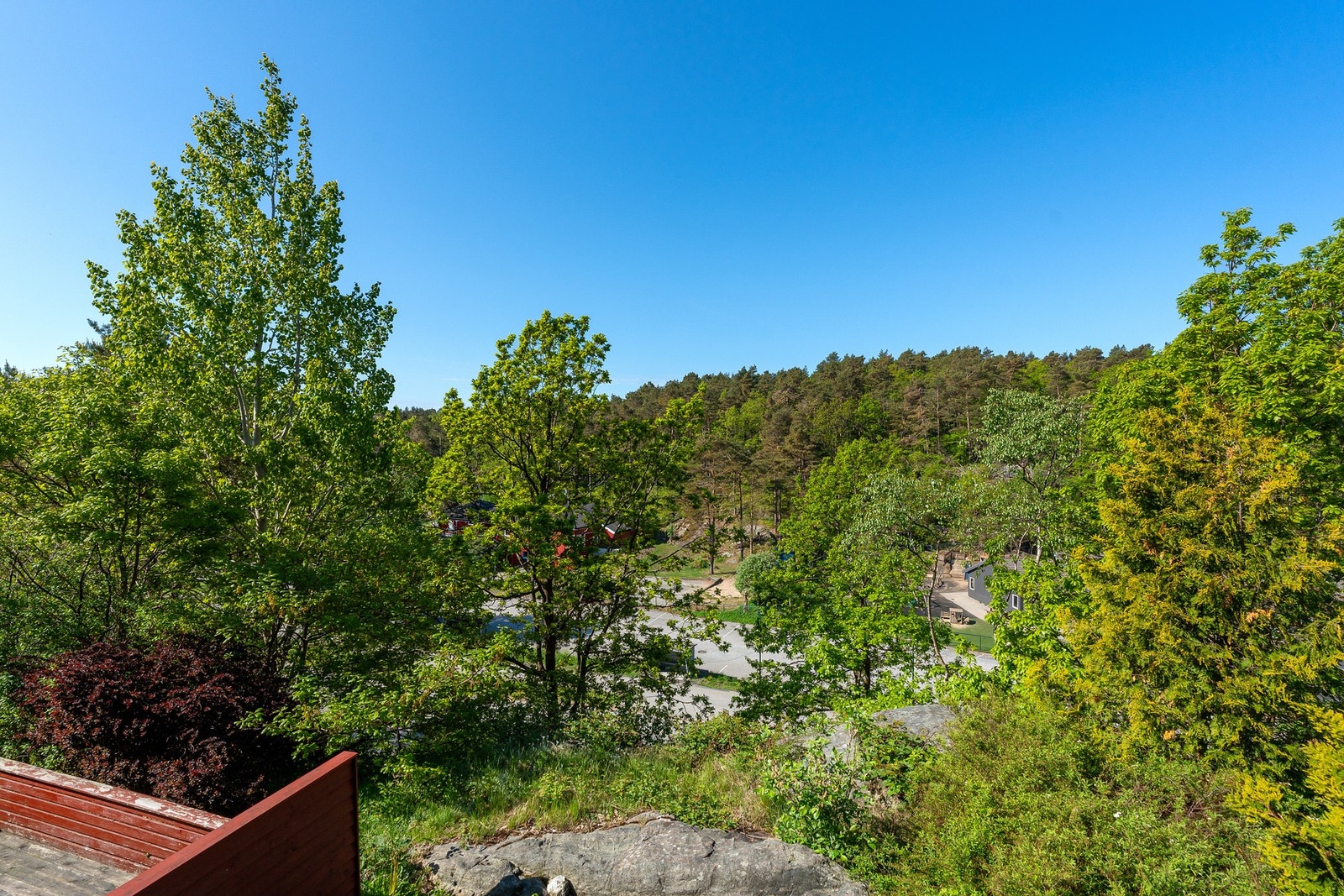 - Utsikt mot skog/natur - Galleribilde