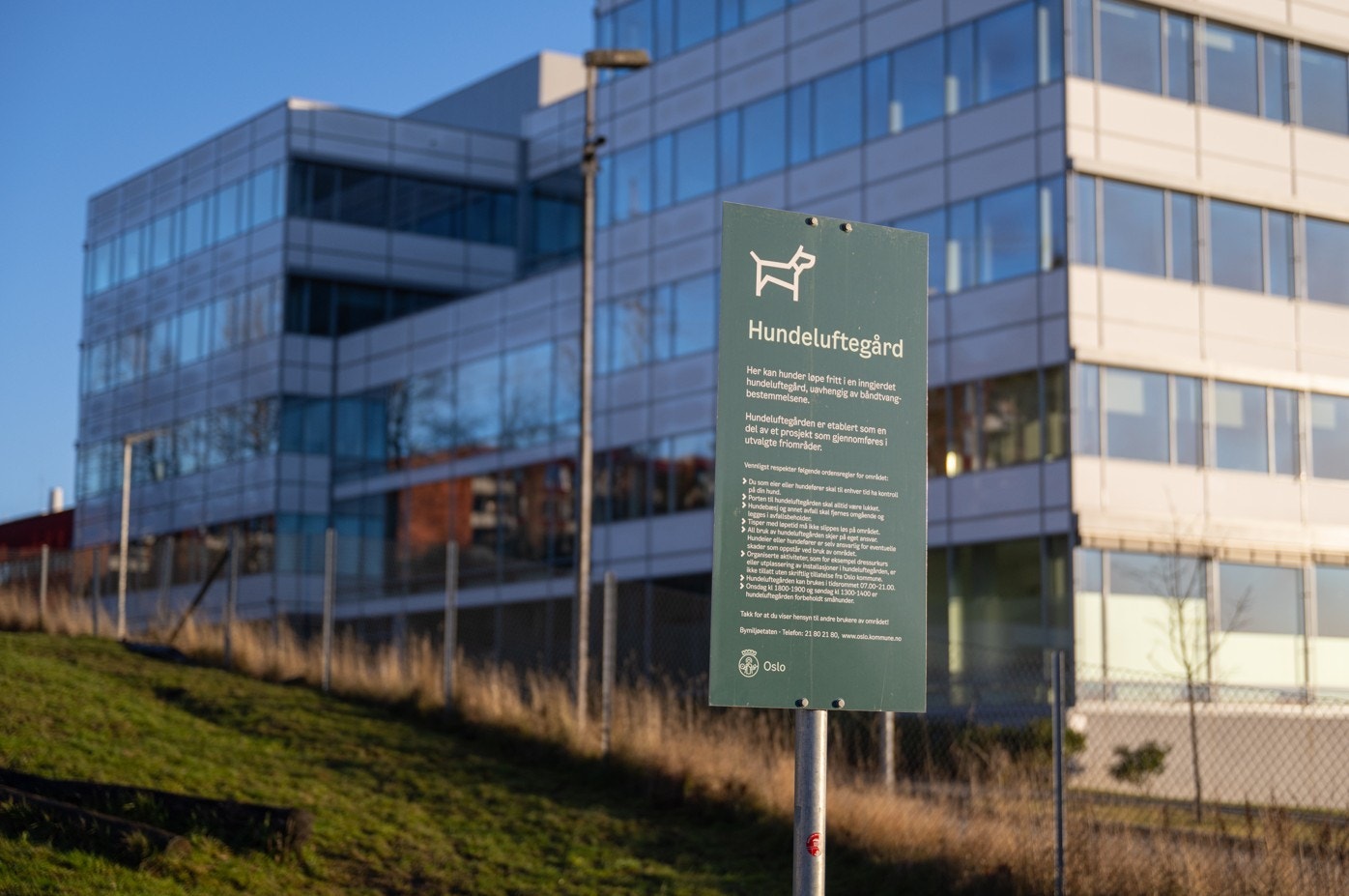 Rett utenfor bygget er det inngjerdet hundeluftegård. Galleribilde