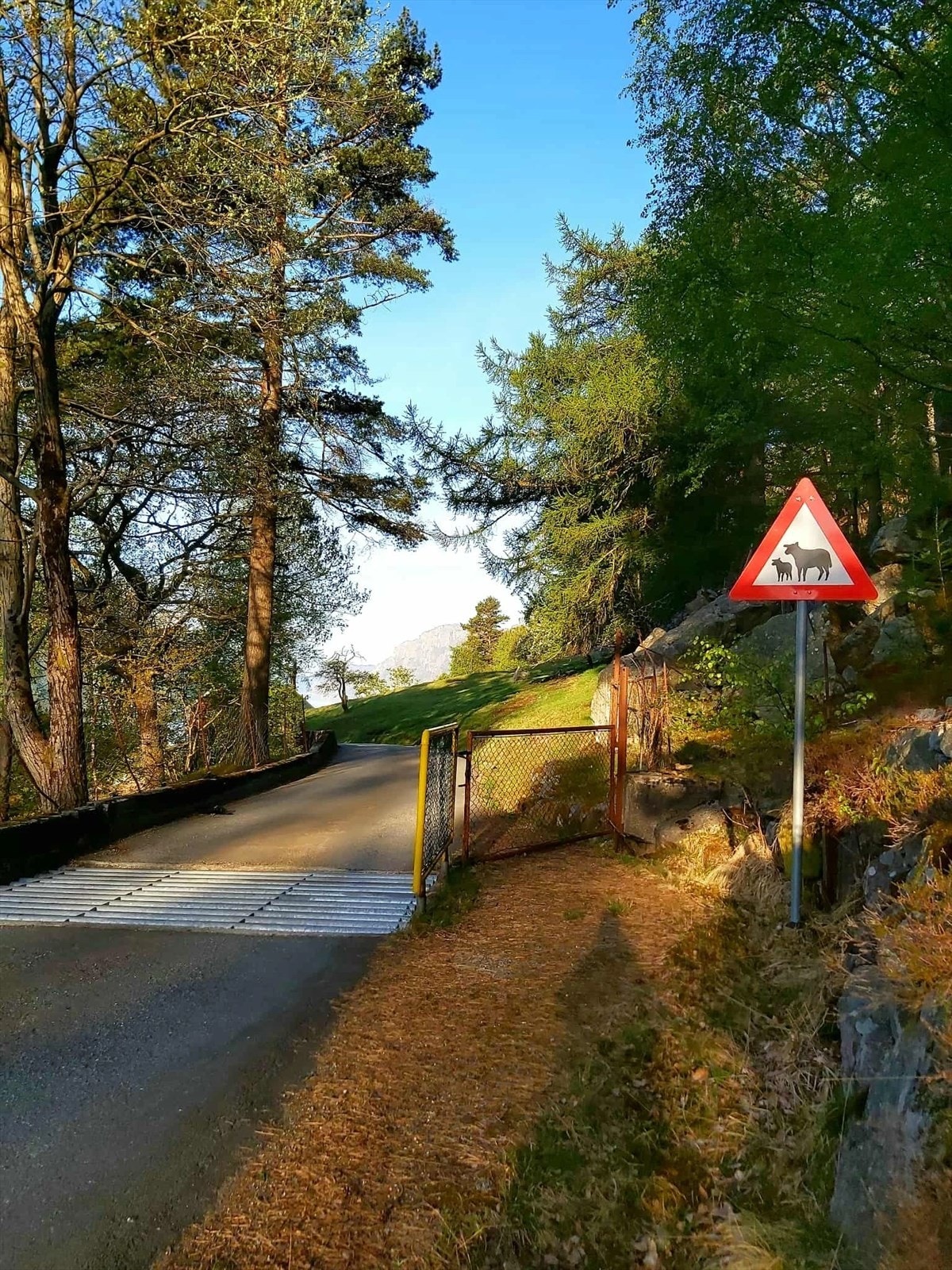 Notar 15.jpg Galleribilde