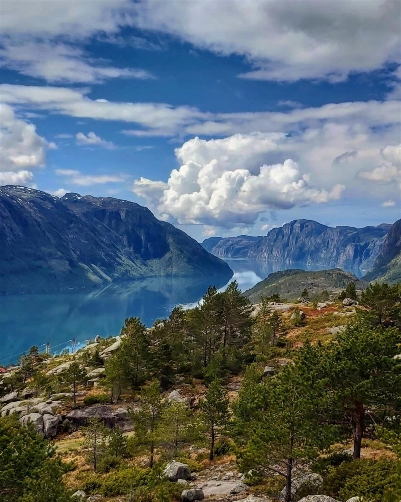 Notar 10.jpg Galleribilde