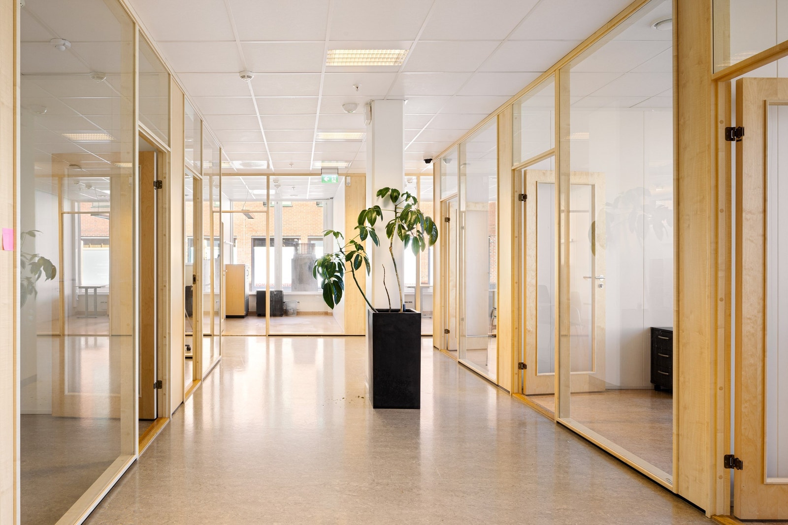 Cellekontorer med skillevegger i glass gir et moderne preg Galleribilde
