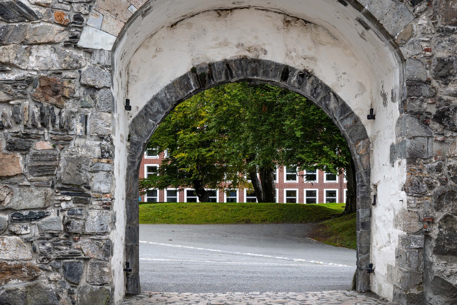 Historiske Bergenhus festning som nærmeste nabo. Galleribilde