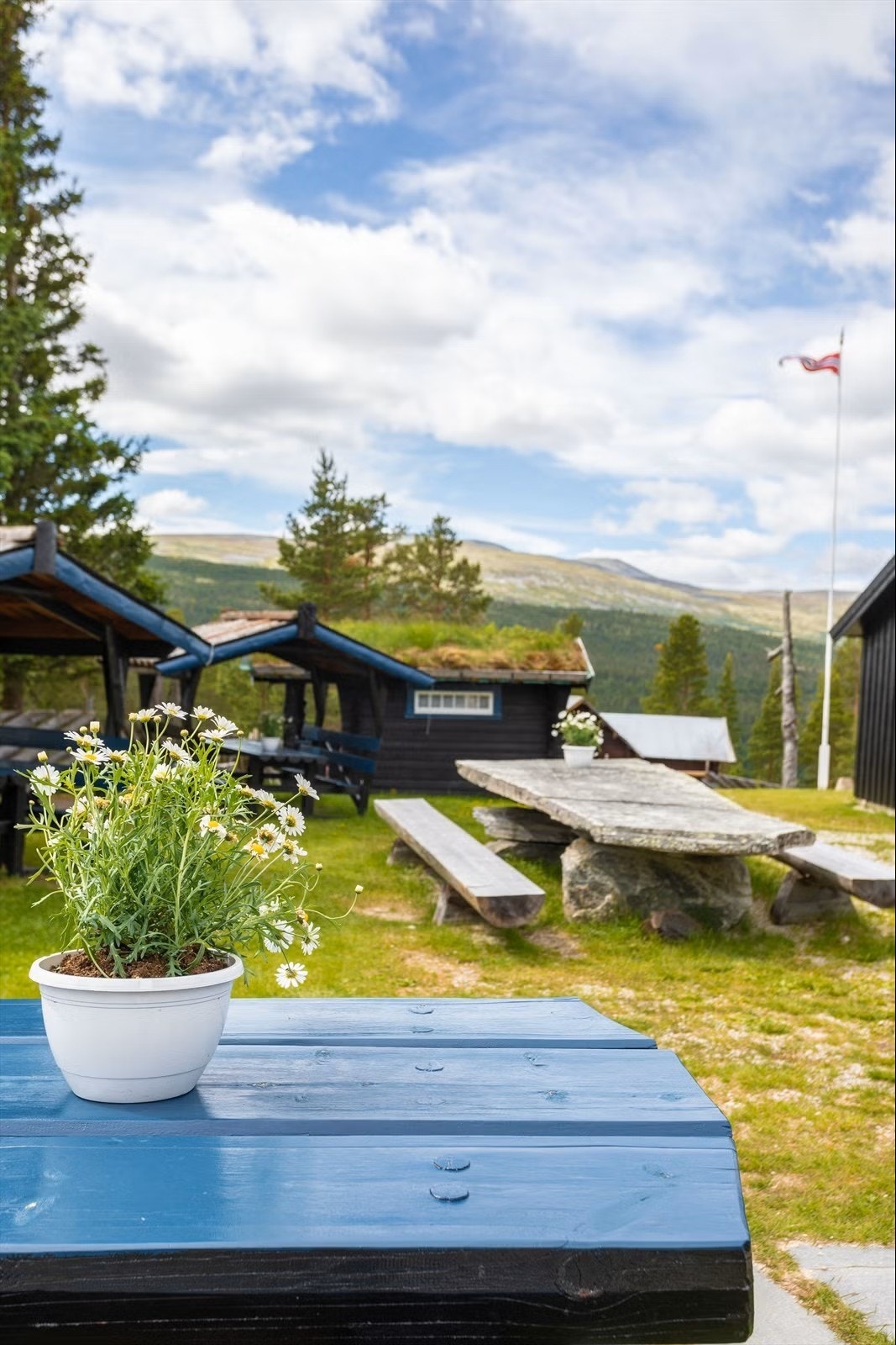 Uteområder Galleribilde