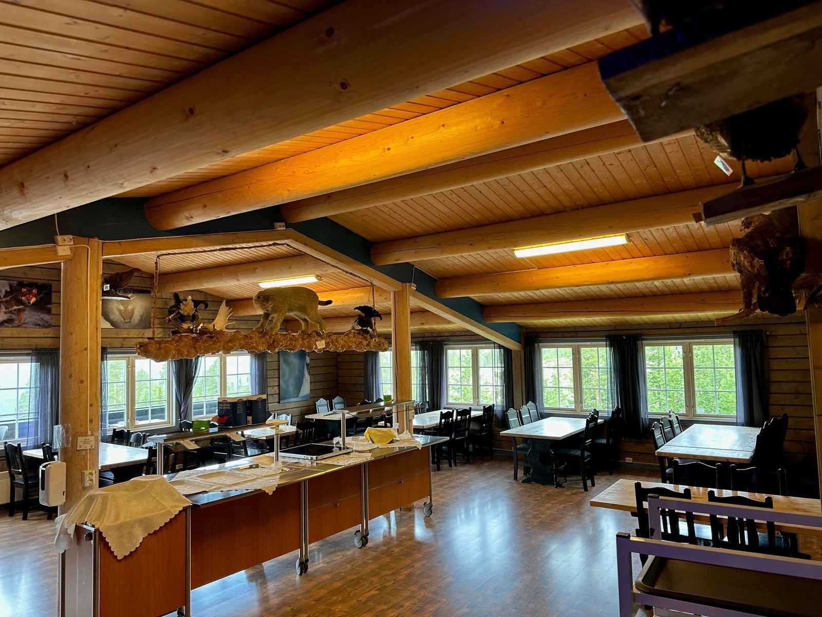 Solhbergstua Galleribilde