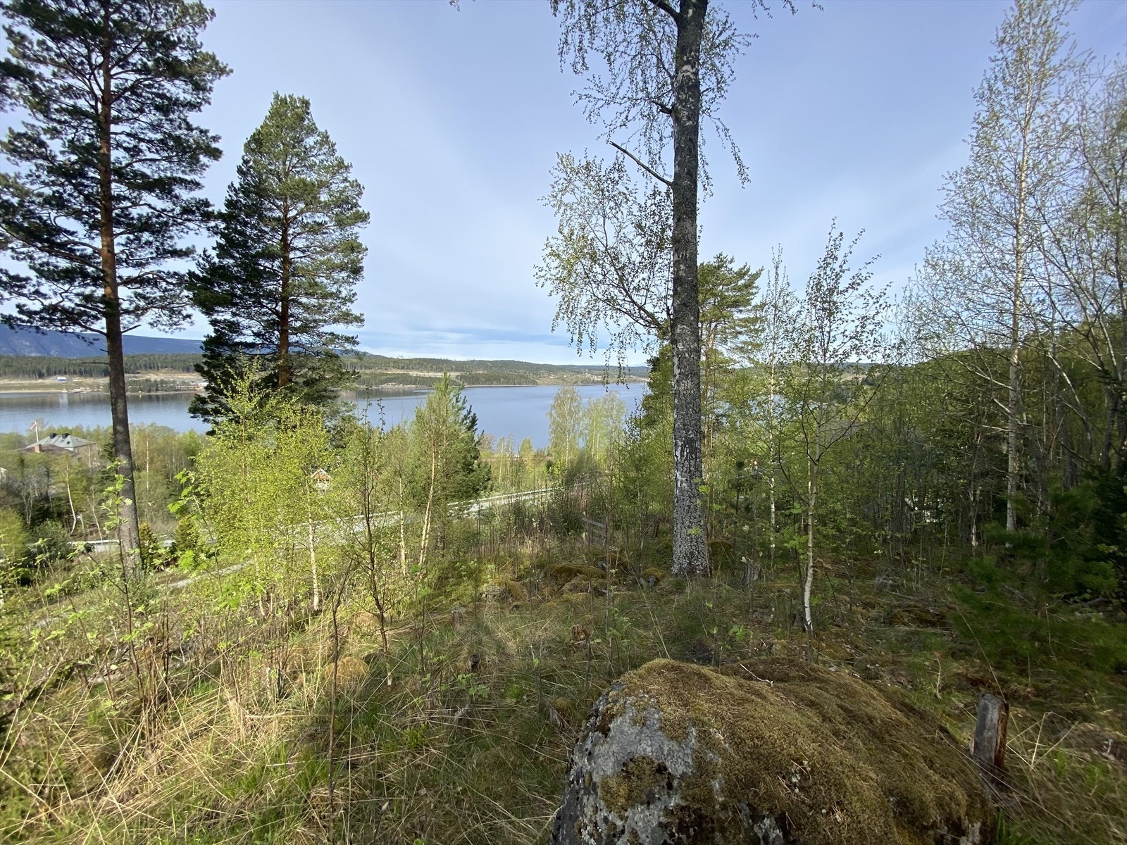 Utsikt over Mjøsa Galleribilde