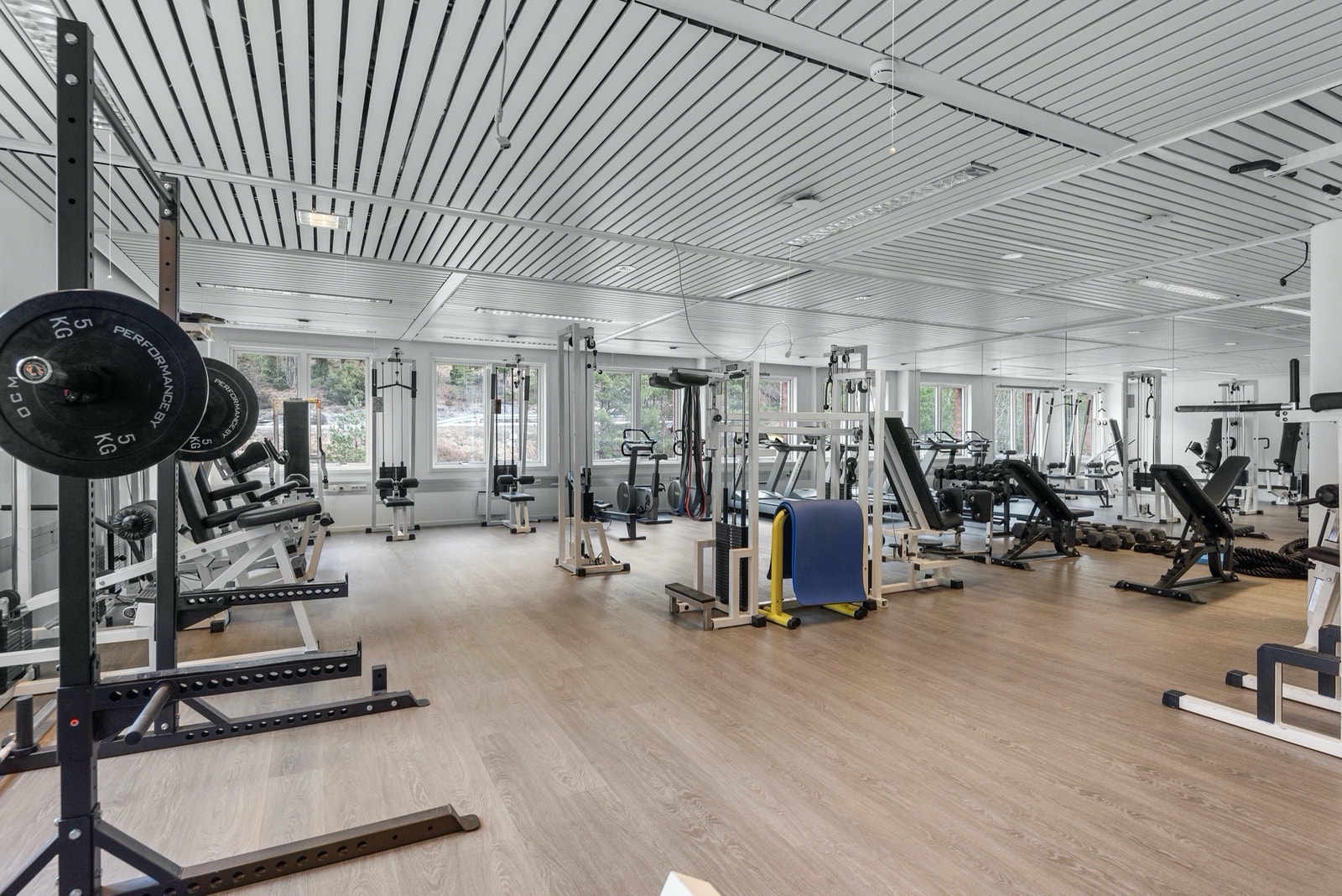 Felles treningsrom med dusjfasiliteter. Galleribilde