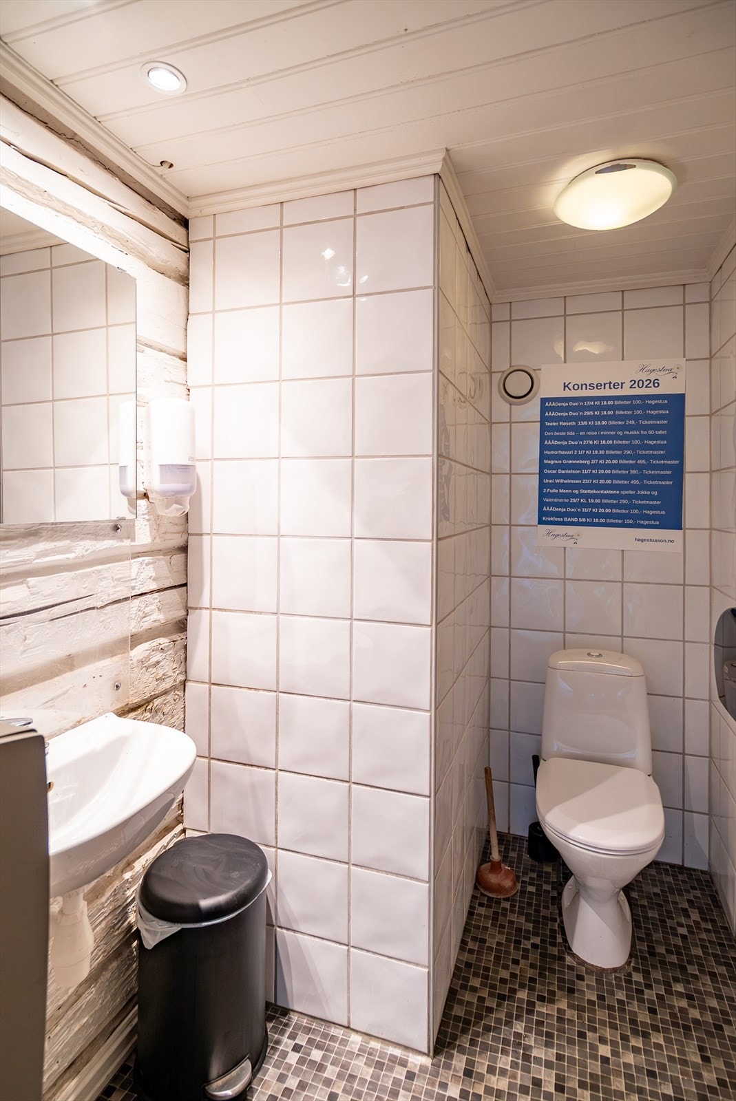 Wc for Hagestua Galleribilde