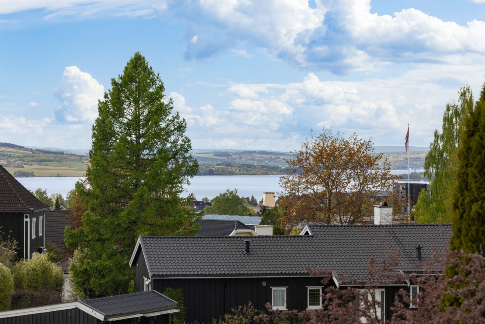 Har kan du se Skiblander fra balkongen om du er heldig, et vakkert syn. Galleribilde