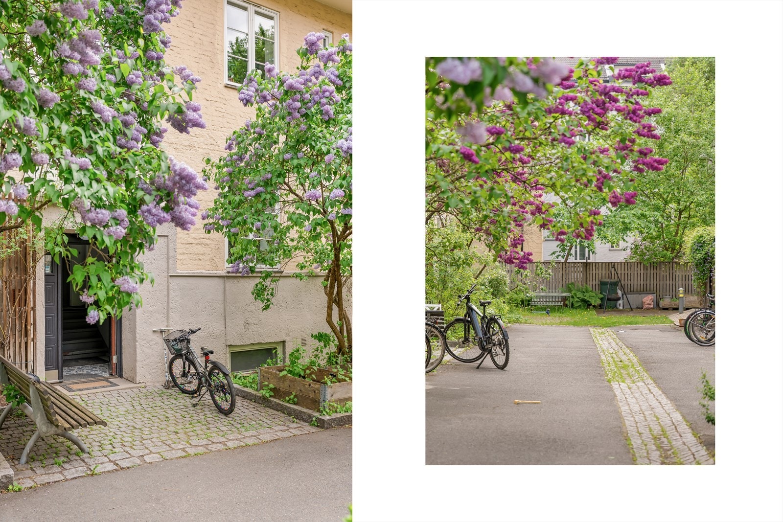 Bakgården bugner av flotte prydbusker og er en liten oase i denne flotte, klassiske Torshovgården Galleribilde