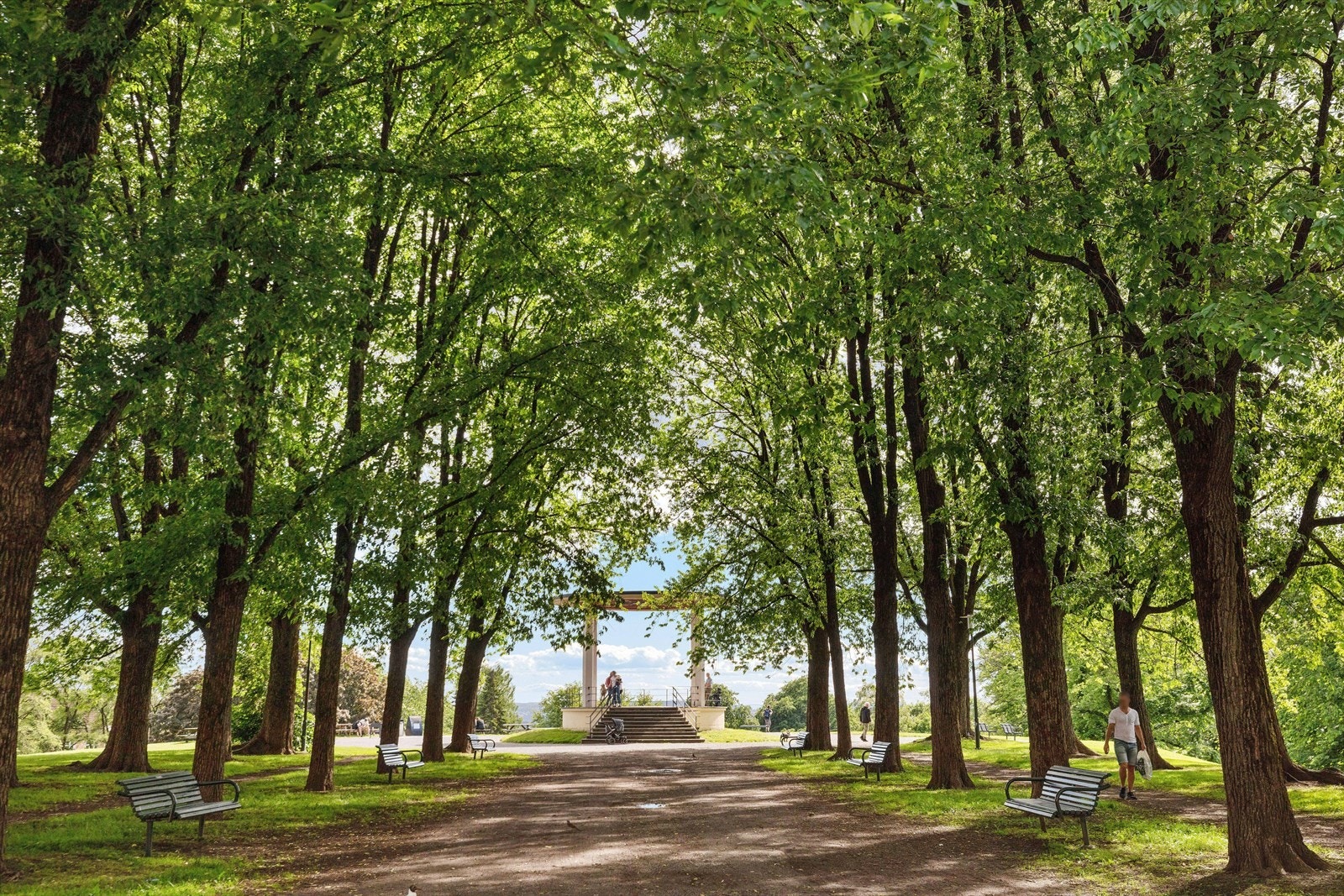 Torshovparken - et flott rekreasjonsområde hvor du kan spasere deg en tur, slikke solstråler, grille eller bare nyte de grønne omgivelsene Galleribilde