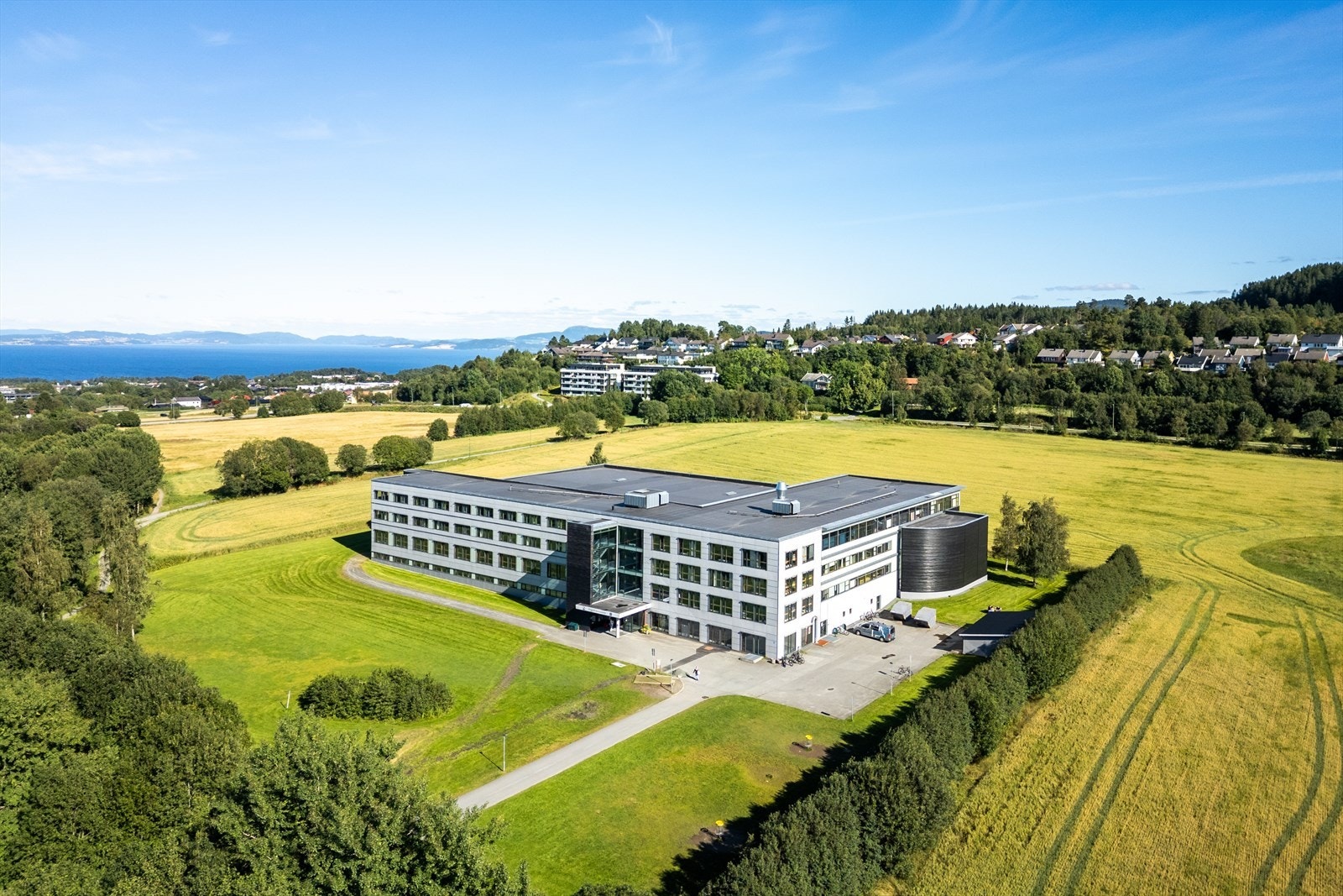 Det er flere treningskjeder i nærområdet, blant annet Sit ved Dragvoll idrettssenter, samt 3T og TrenHer på Moholt. Galleribilde